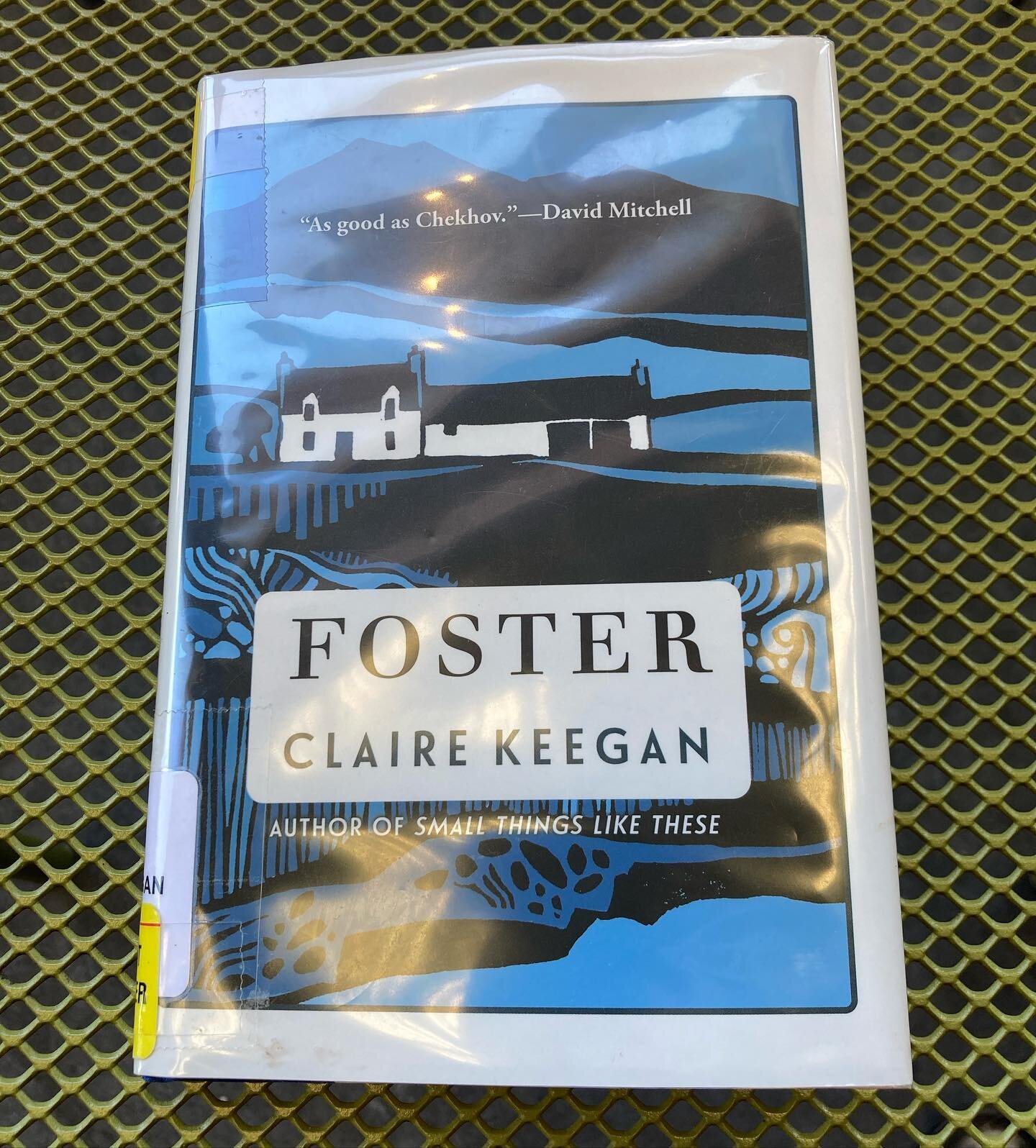 Loving this one. Also loved *Small Things Like These*. Claire Keegan is quickly becoming one of my faves. #fiction