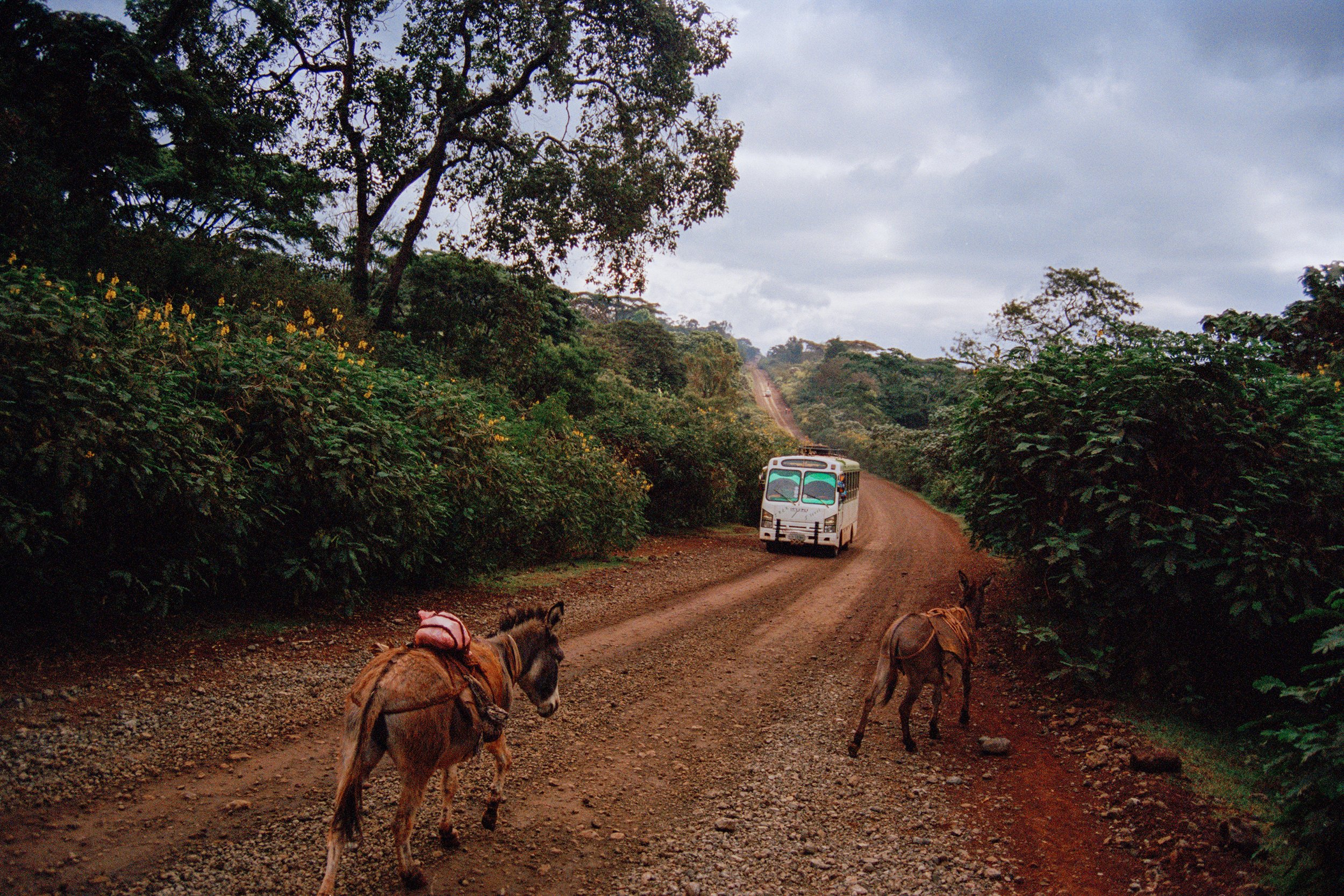 Ethiopia-16.jpg