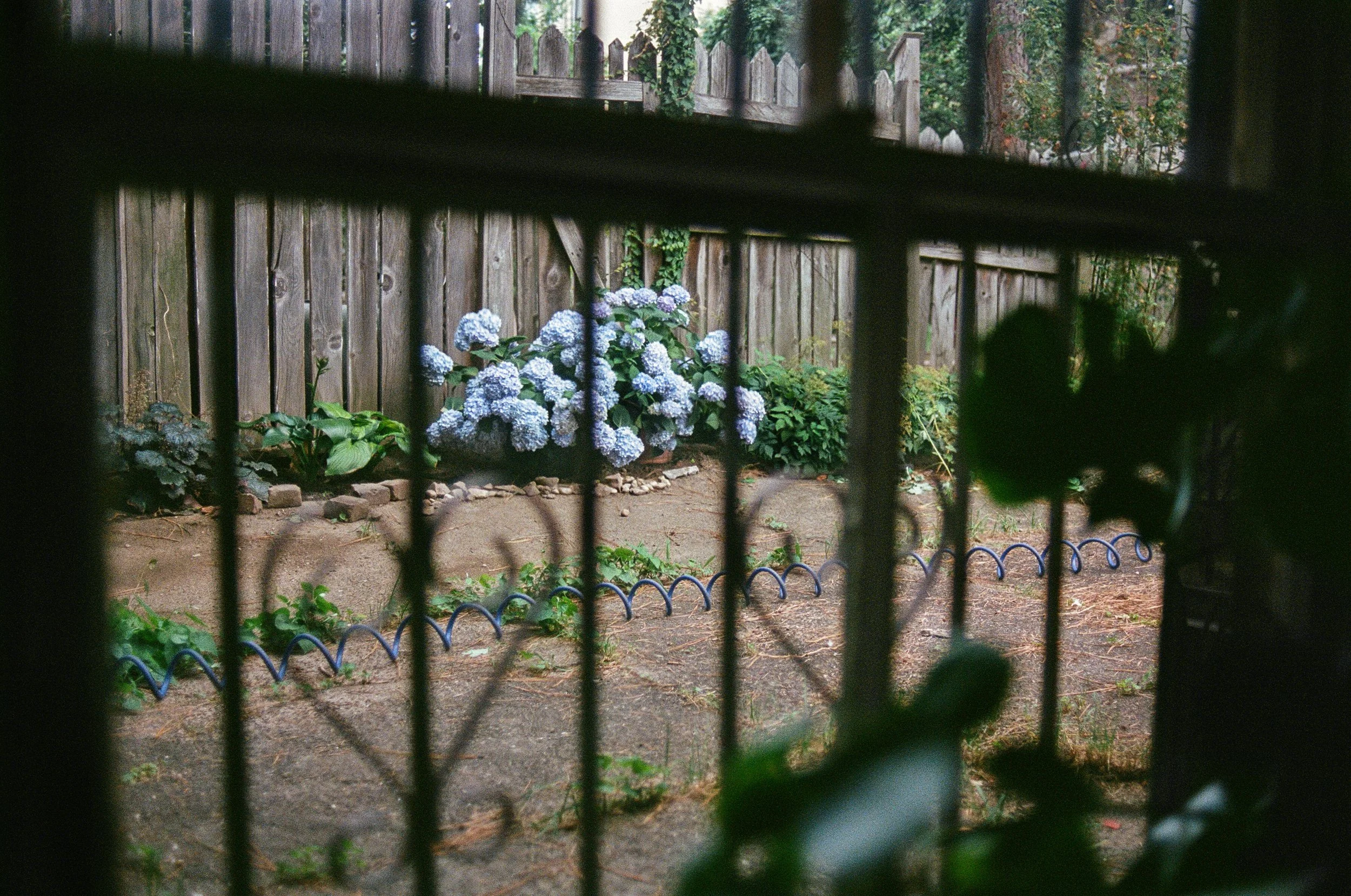 BTS- Has Fire Gone Out of Fashion?-1-12.jpg