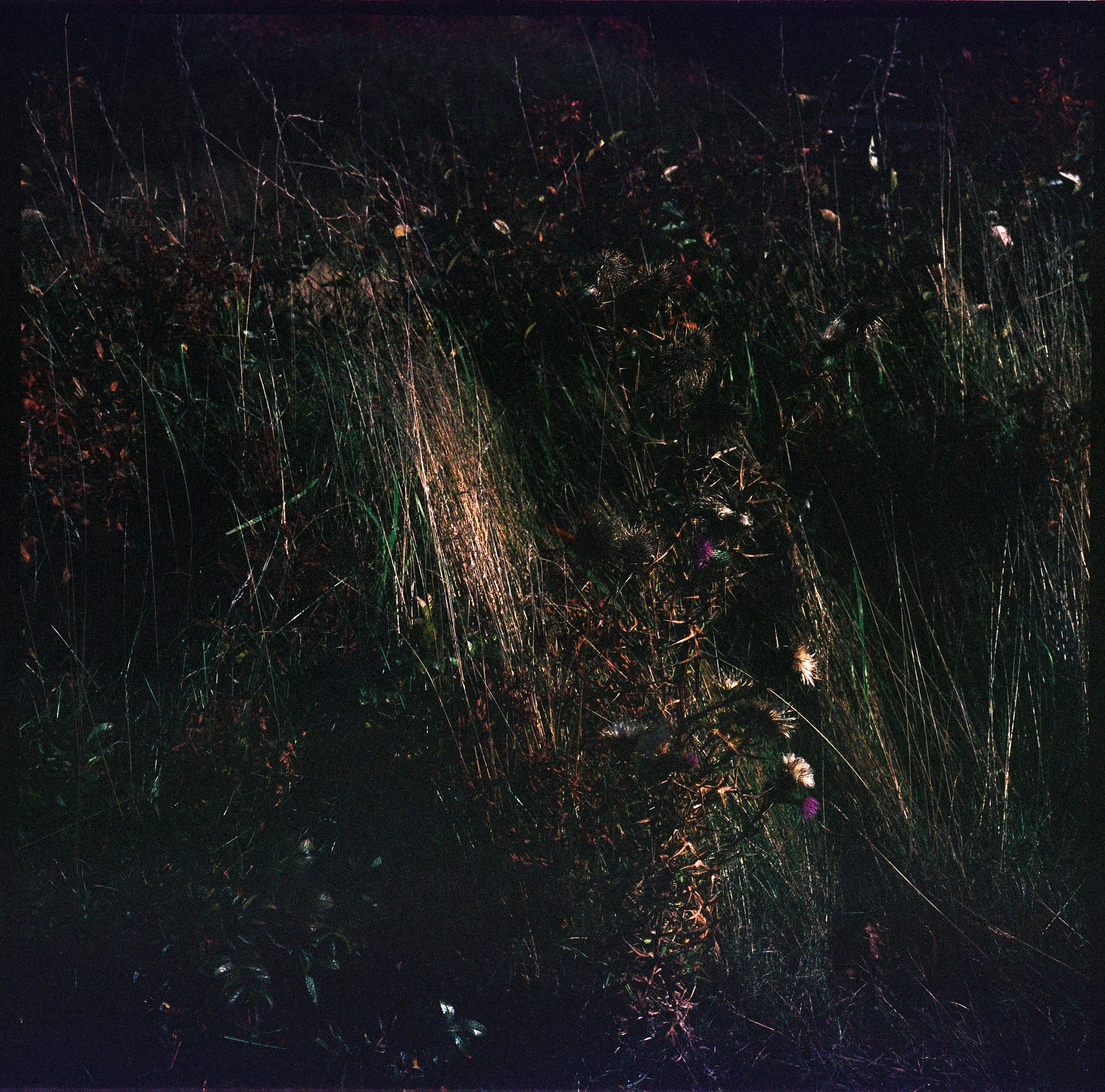 BTS- Has Fire Gone Out of Fashion?-1-3.jpg