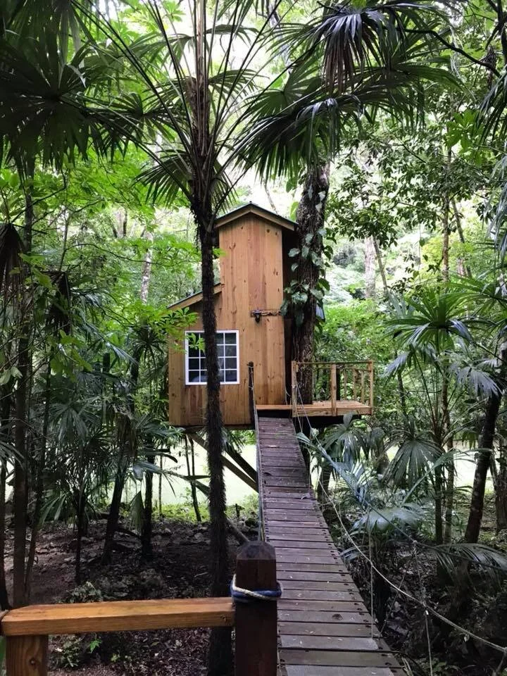 treehouse.jpg