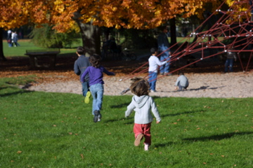 Play is fundamental