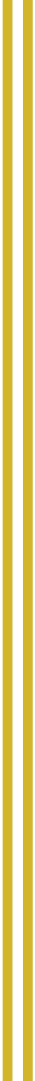 vertical-lines.png