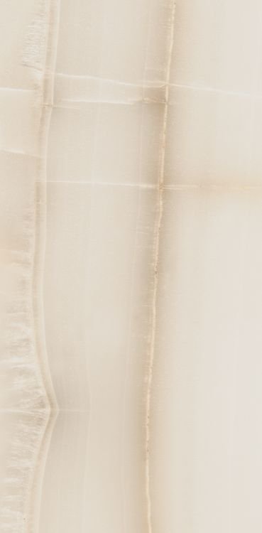 Akoya Ivory Matte 12 x 24