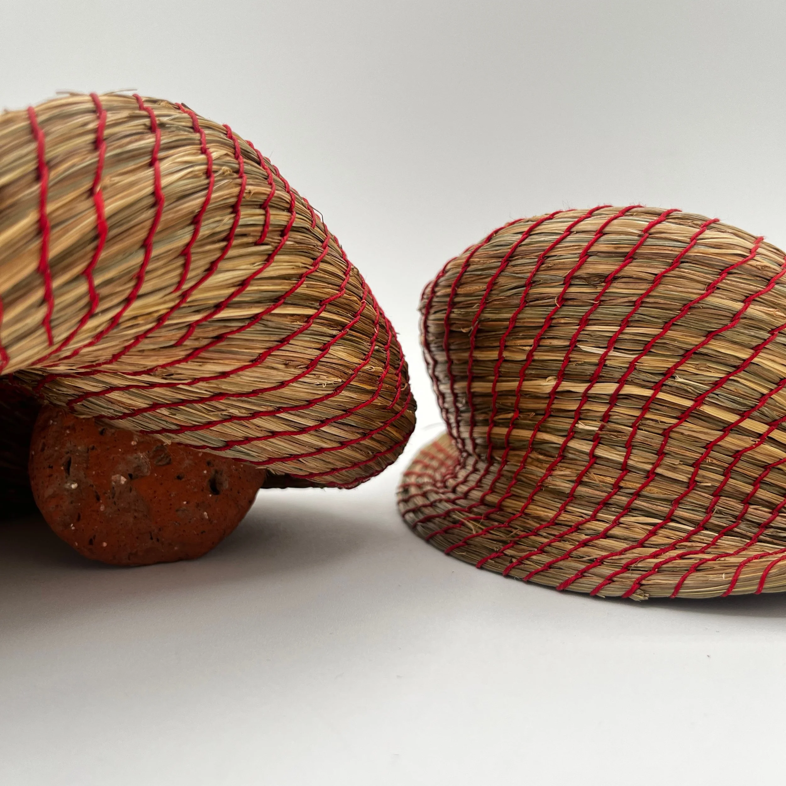 RG01-25 (collateral)