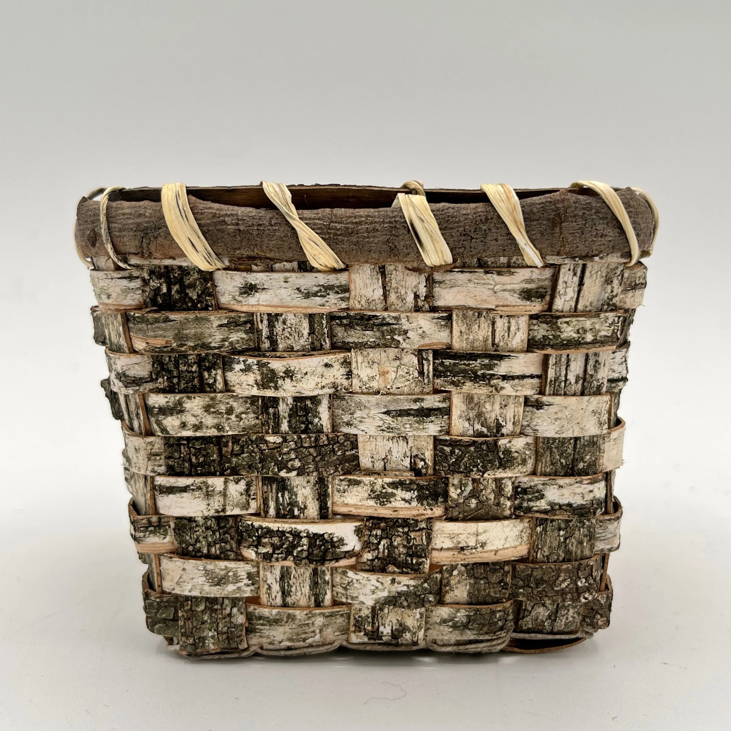 Small and Medium Birch