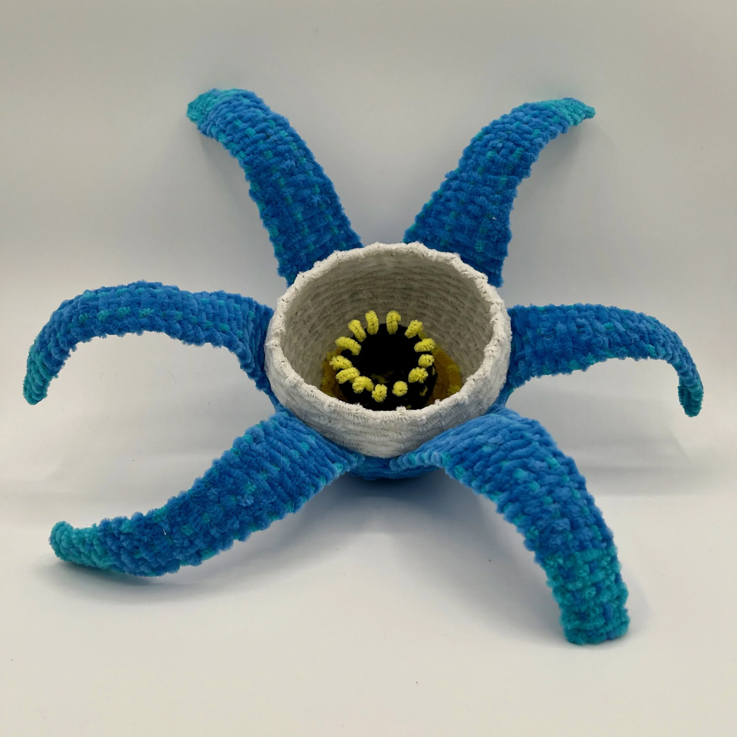 Sea Flower