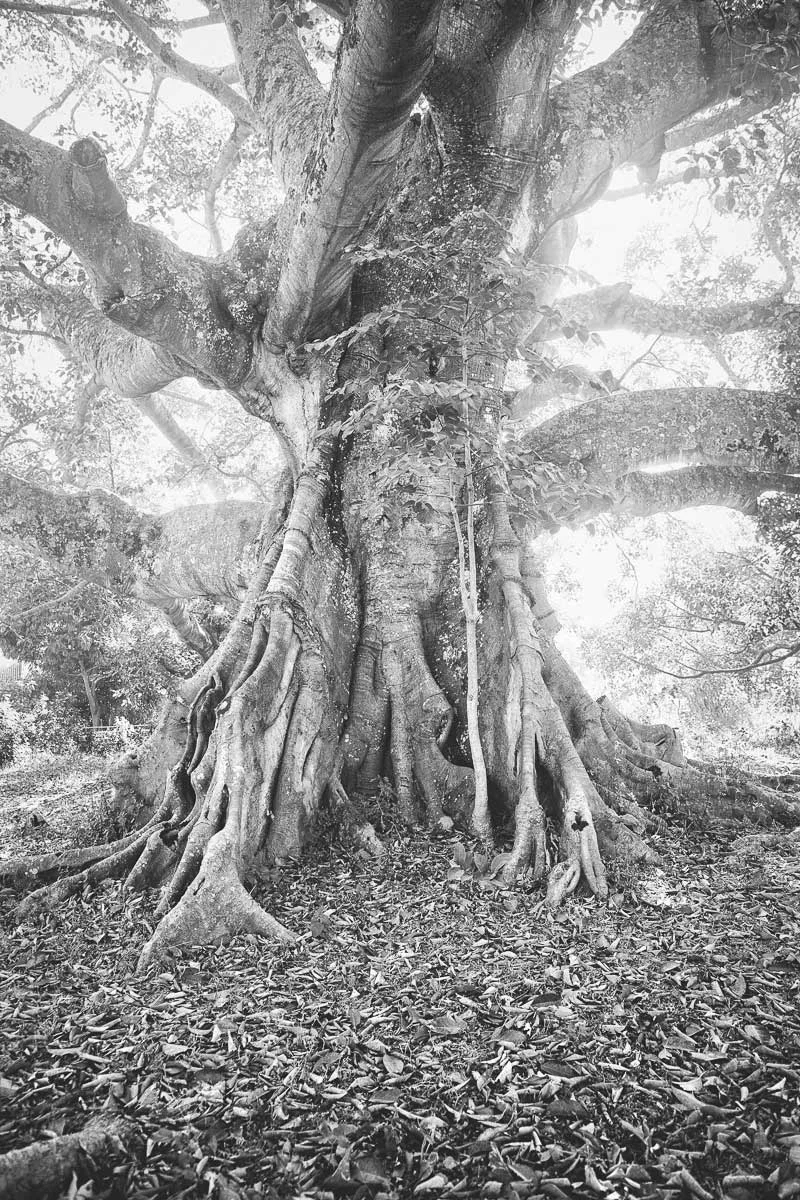 Pindaya Ancient