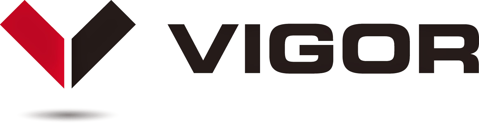 Vigor logo No Background.png