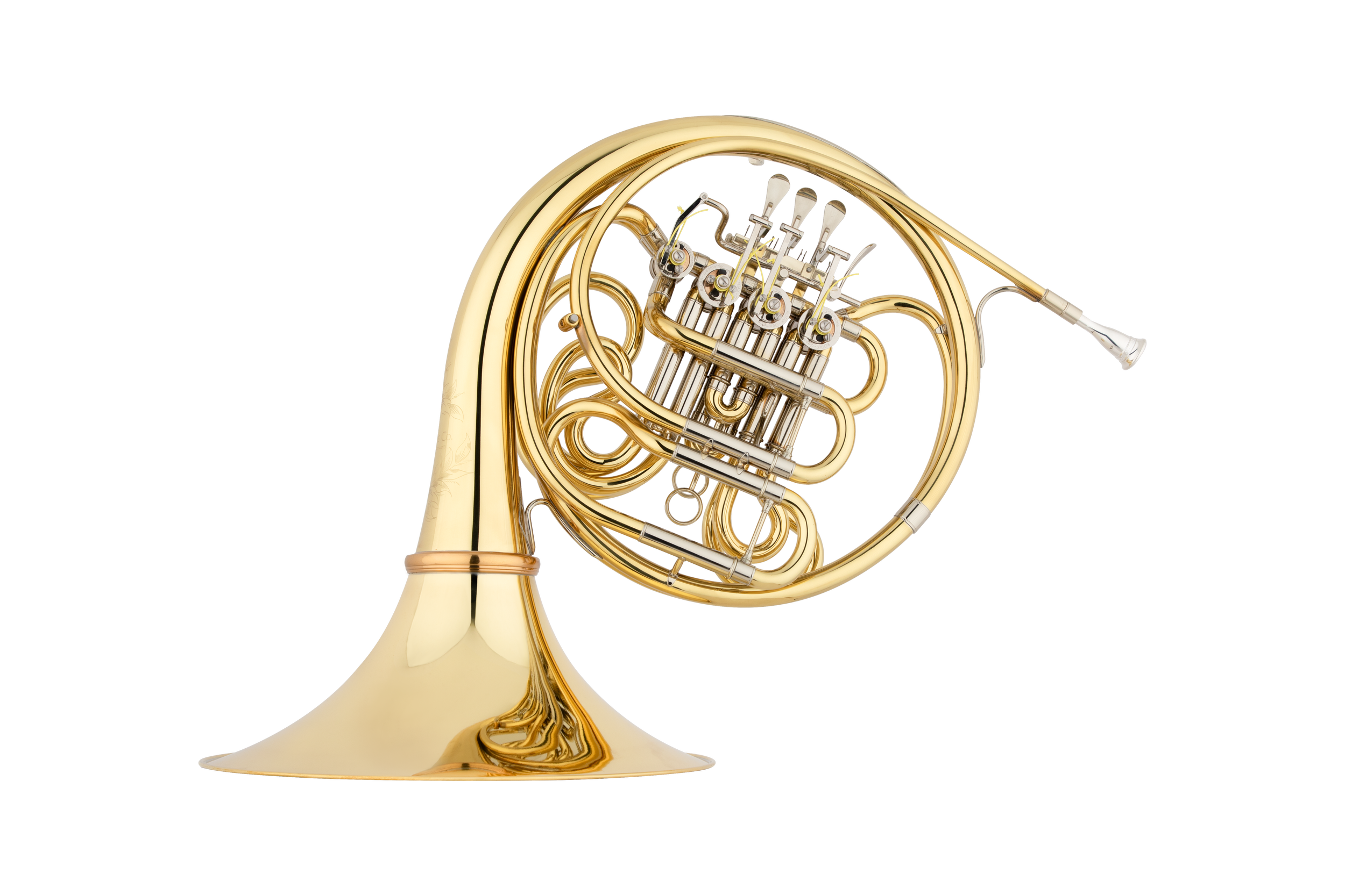 Shires_Horn_SHR211_Back_20251023.png