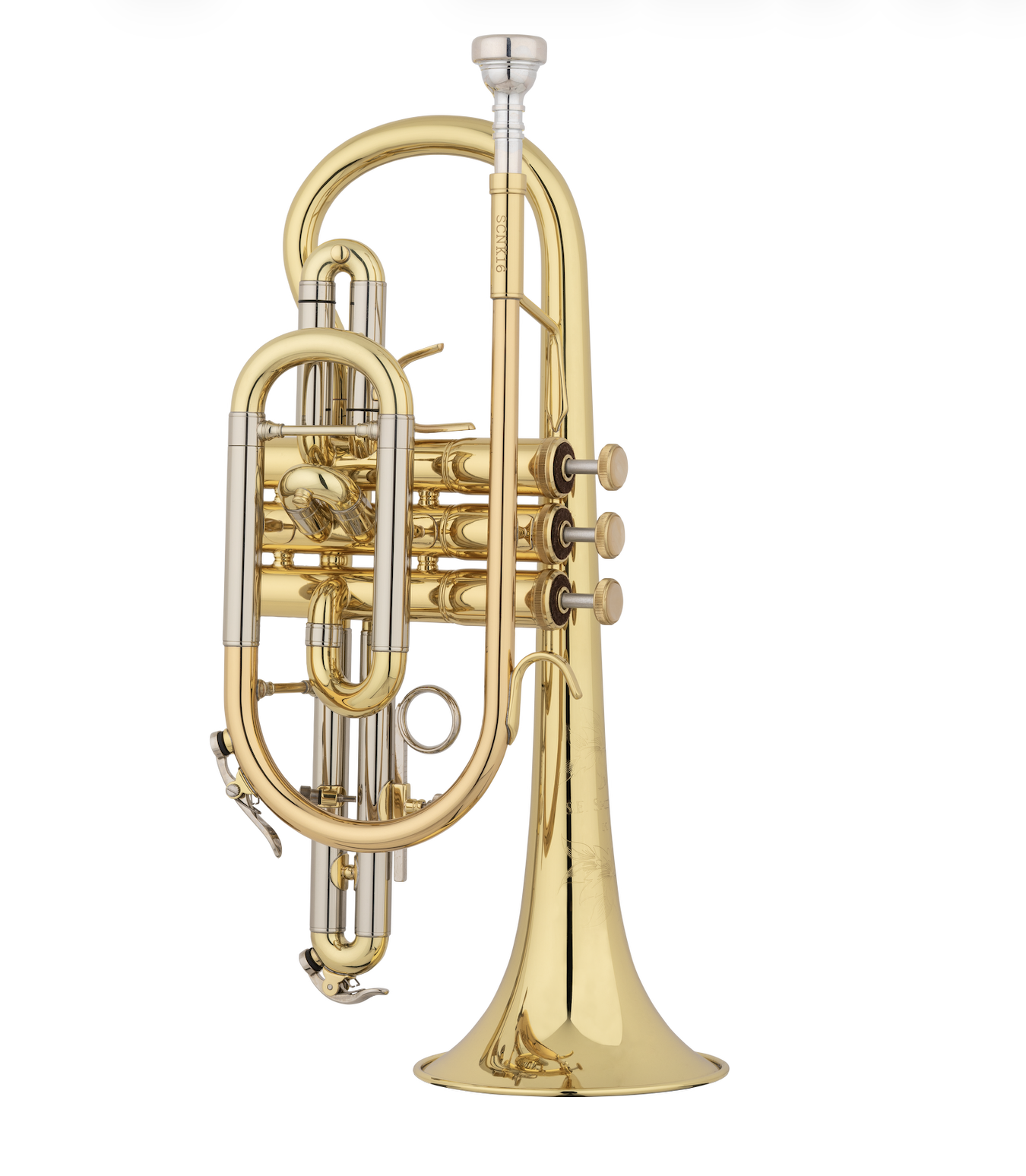 Screenshot 2026-01-12 at 1.38.47 PM.png