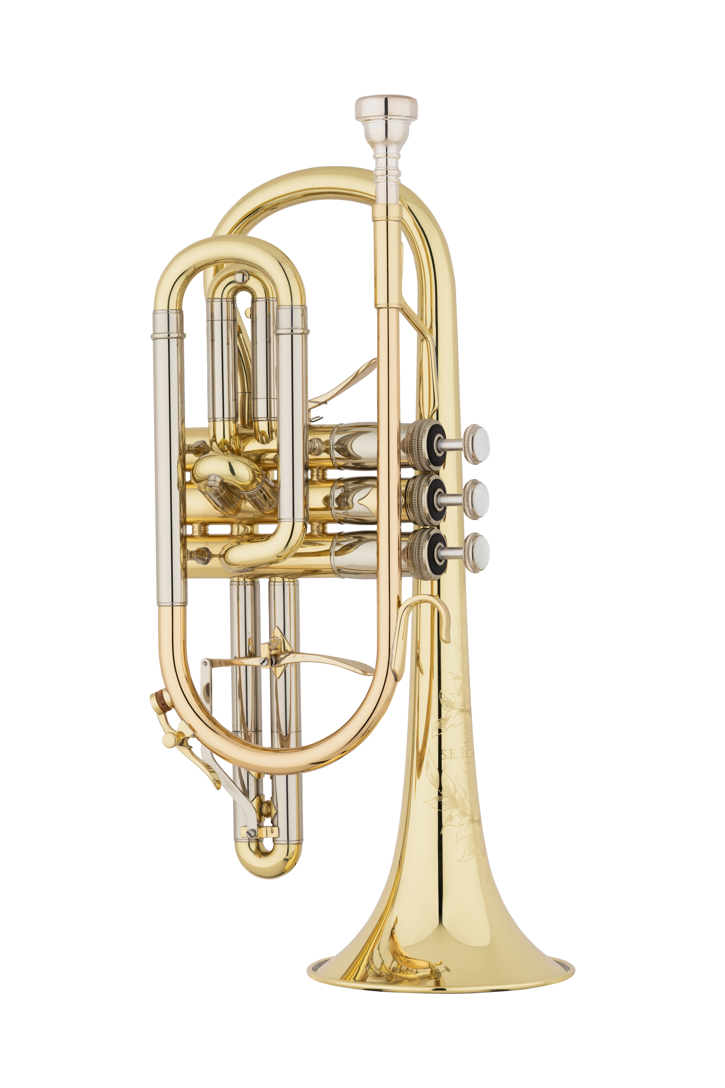 Shires_Cornet_SCNQ16T_FullFront_20251021.png