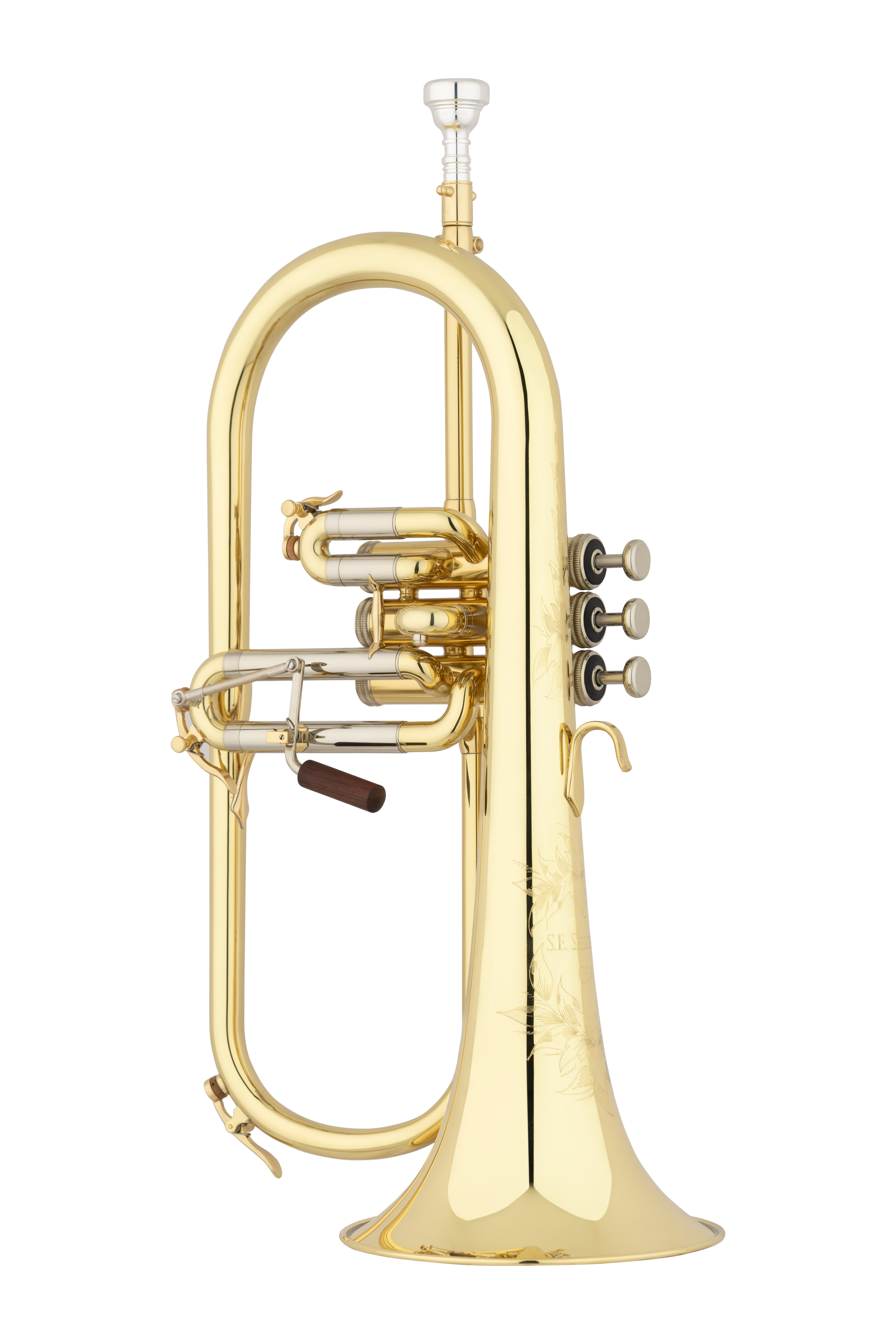 Model Q19