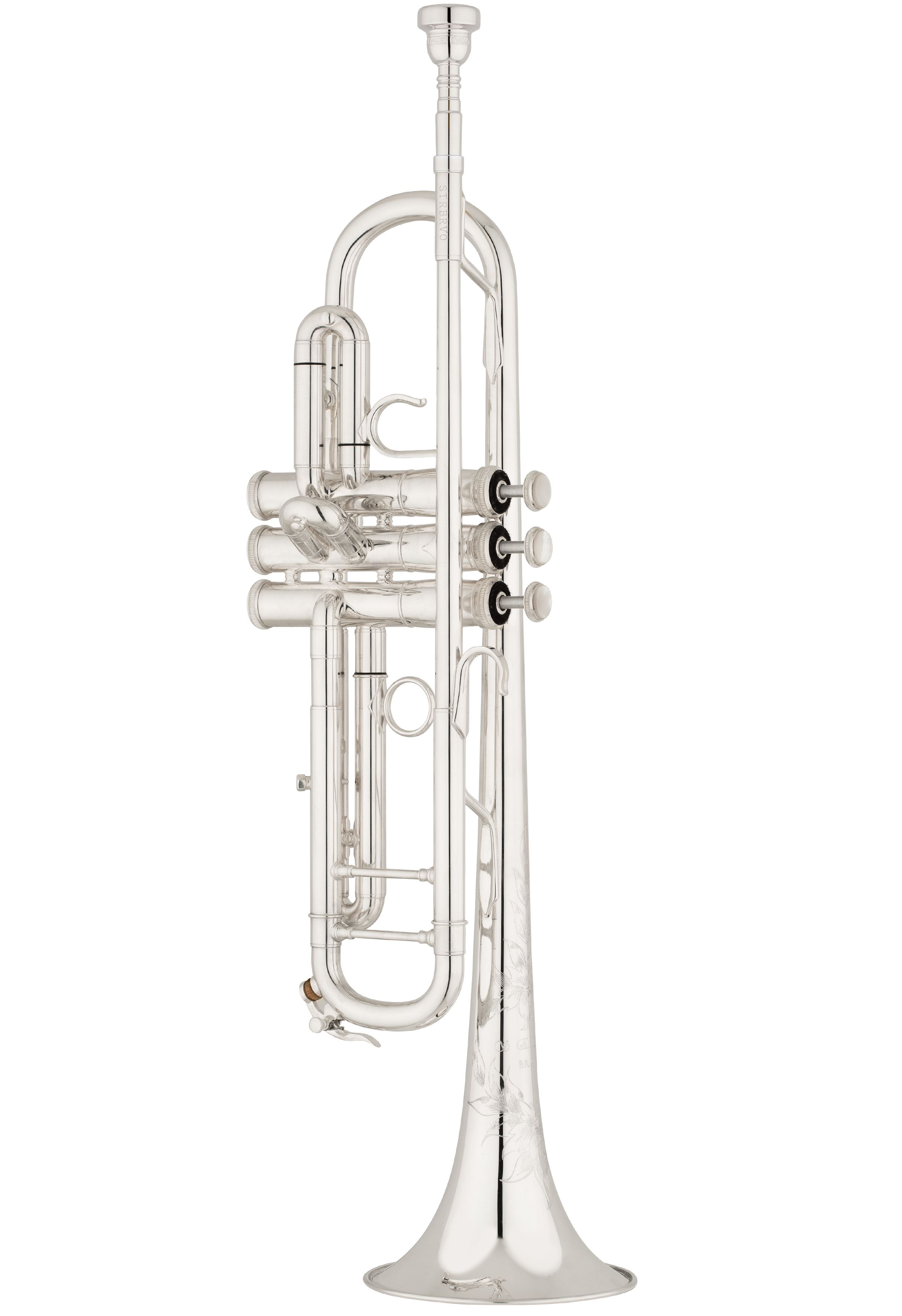 Bravo Model