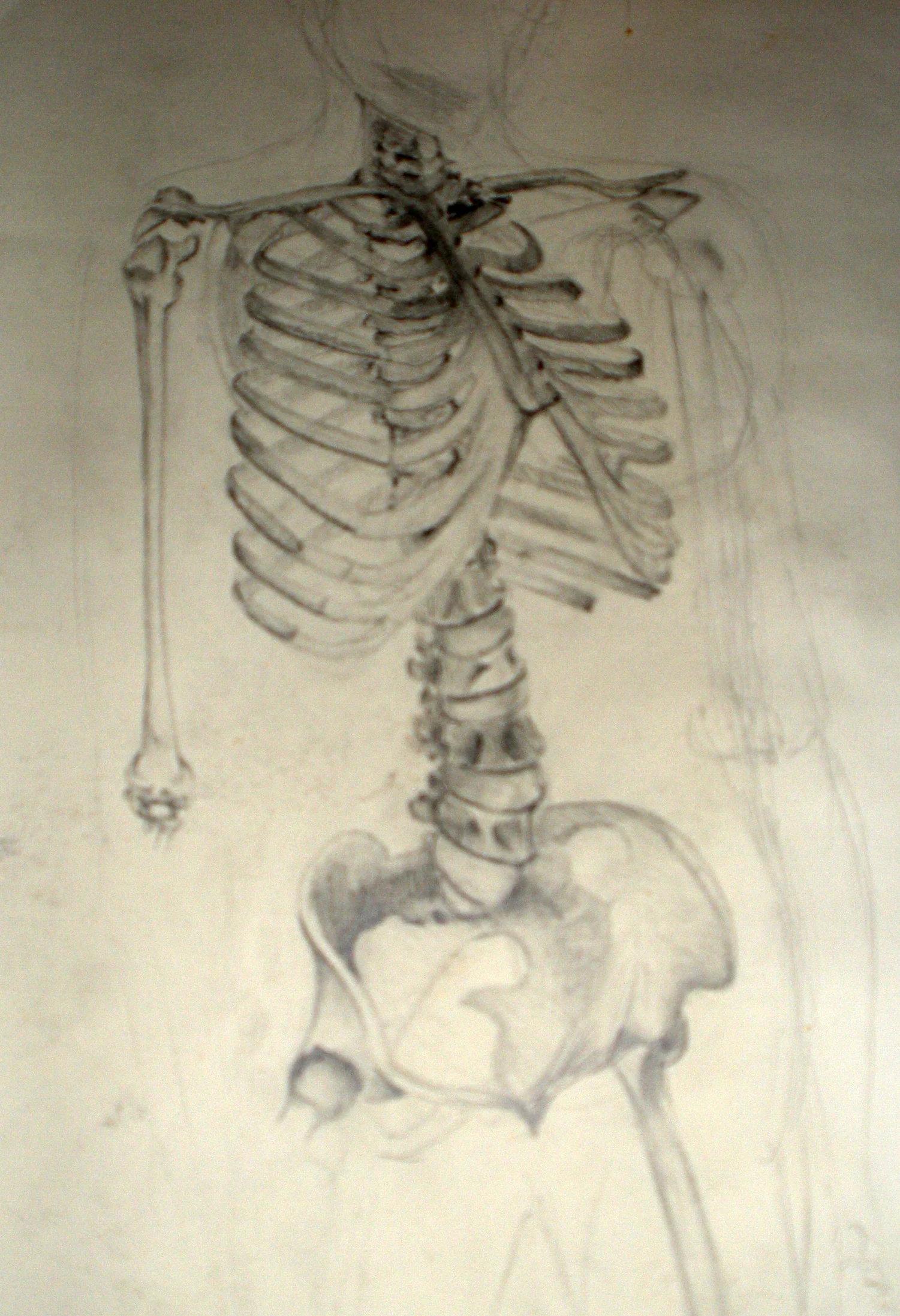 art6.jpg