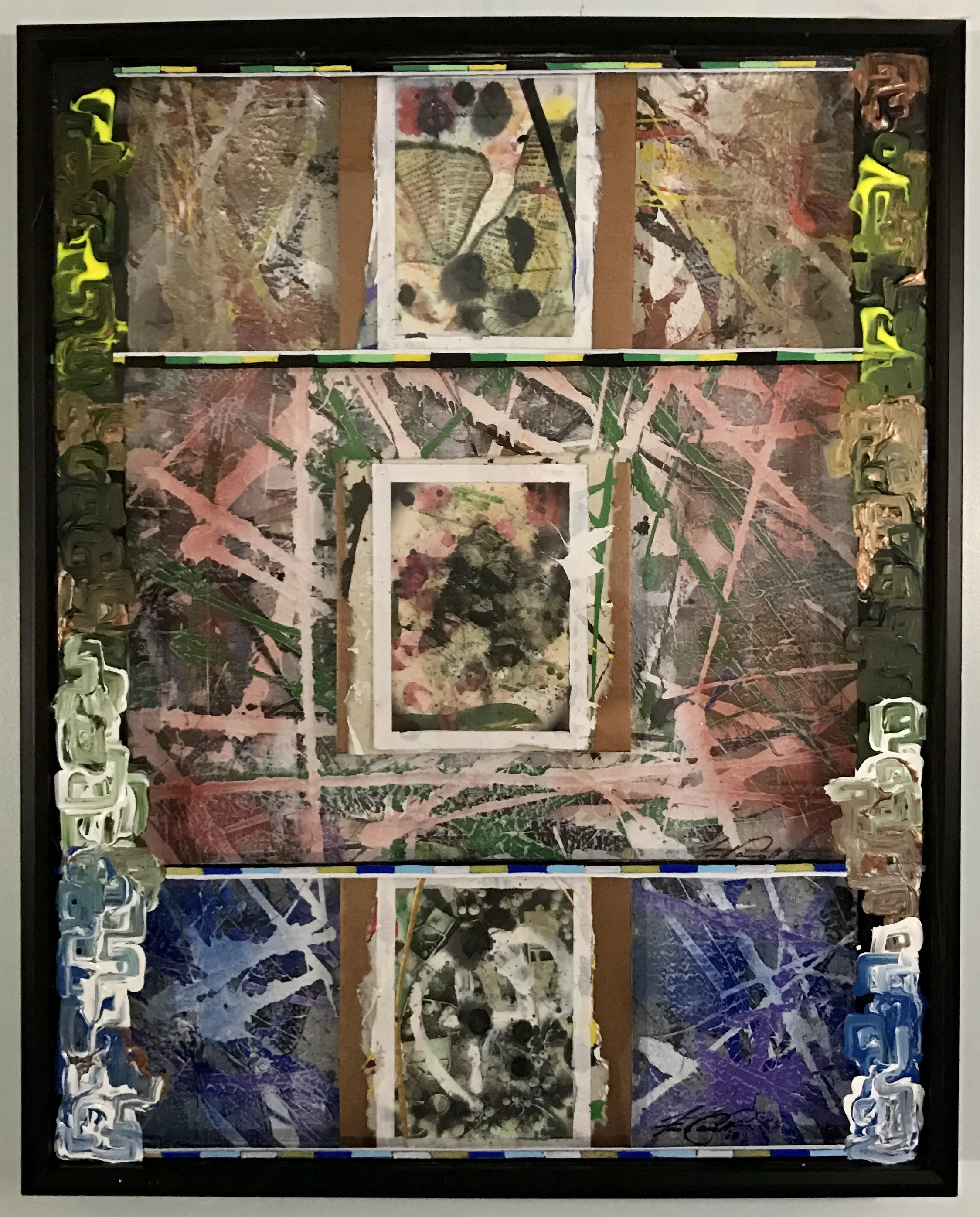 Anodic Wanderings- 2017