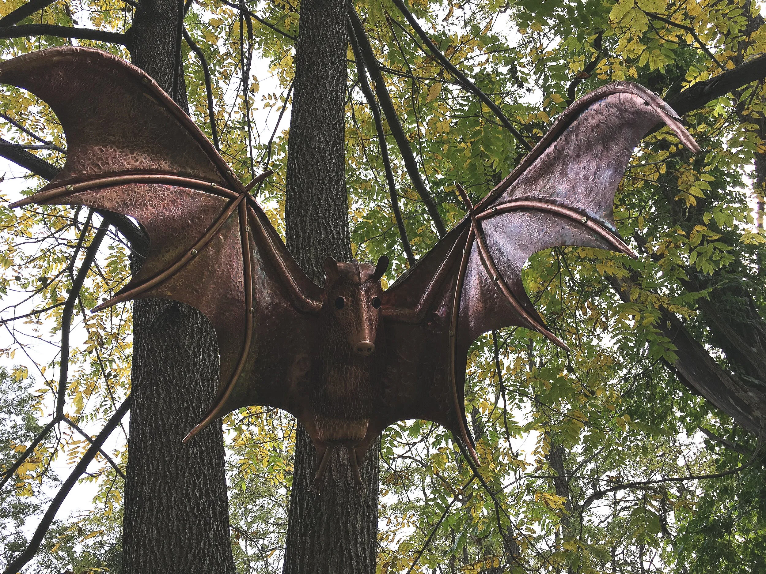 Copper Bat #2  36"x30"x20"