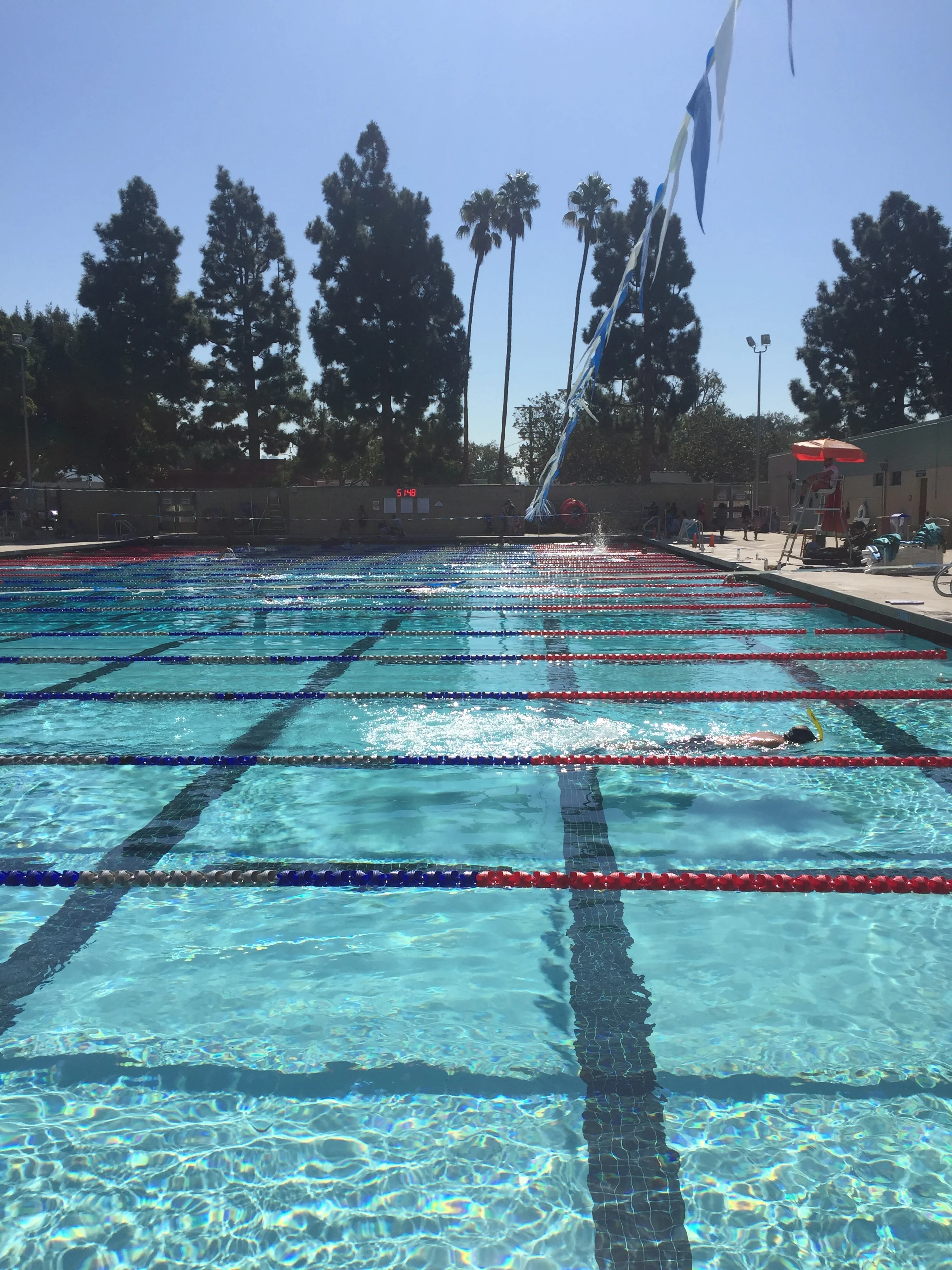 Saturday Morning Swim
