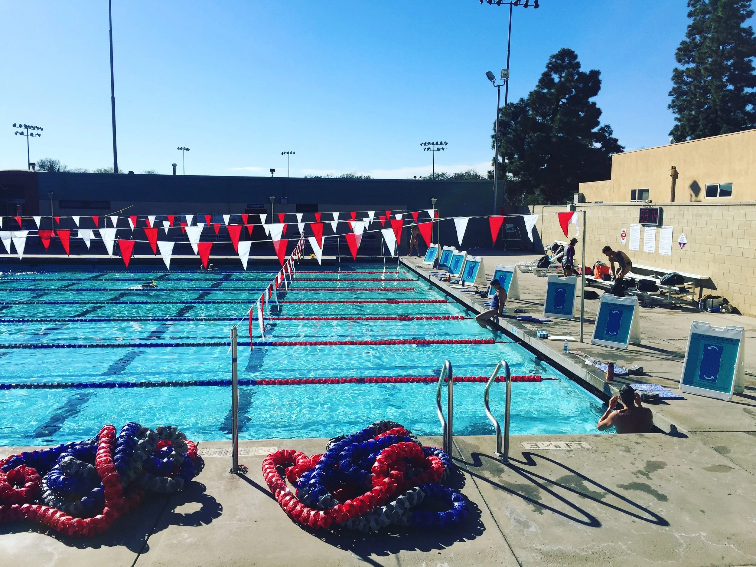 Tuesday & Thursday Holiday Swims