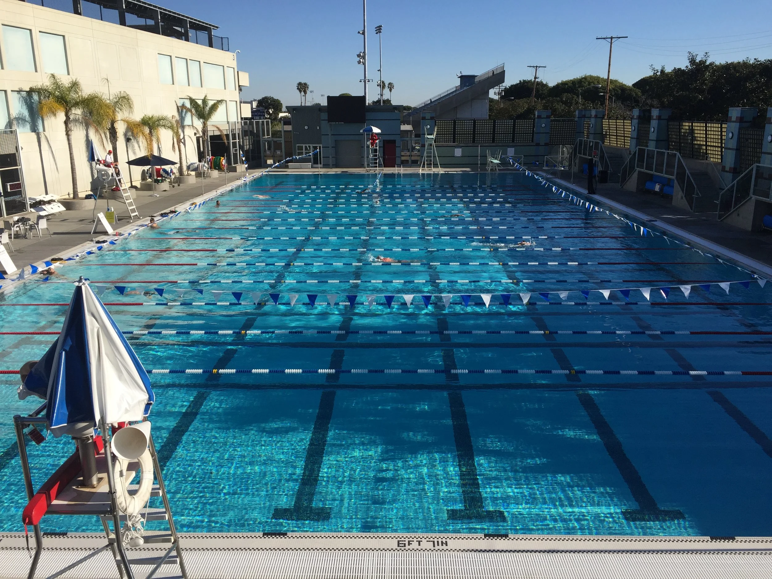 Saturday Afternoon Swim
