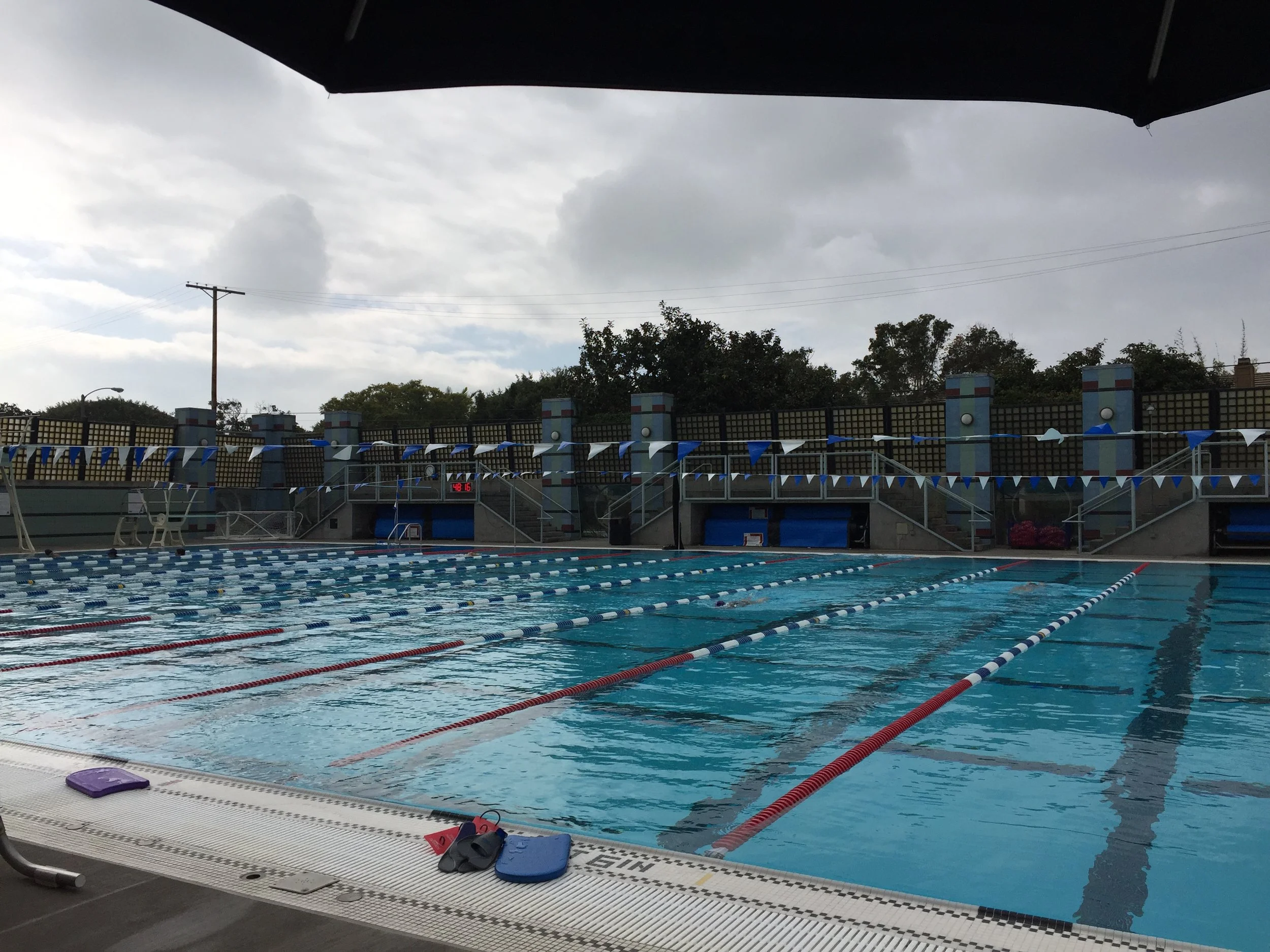 Saturday Afternoon Swim
