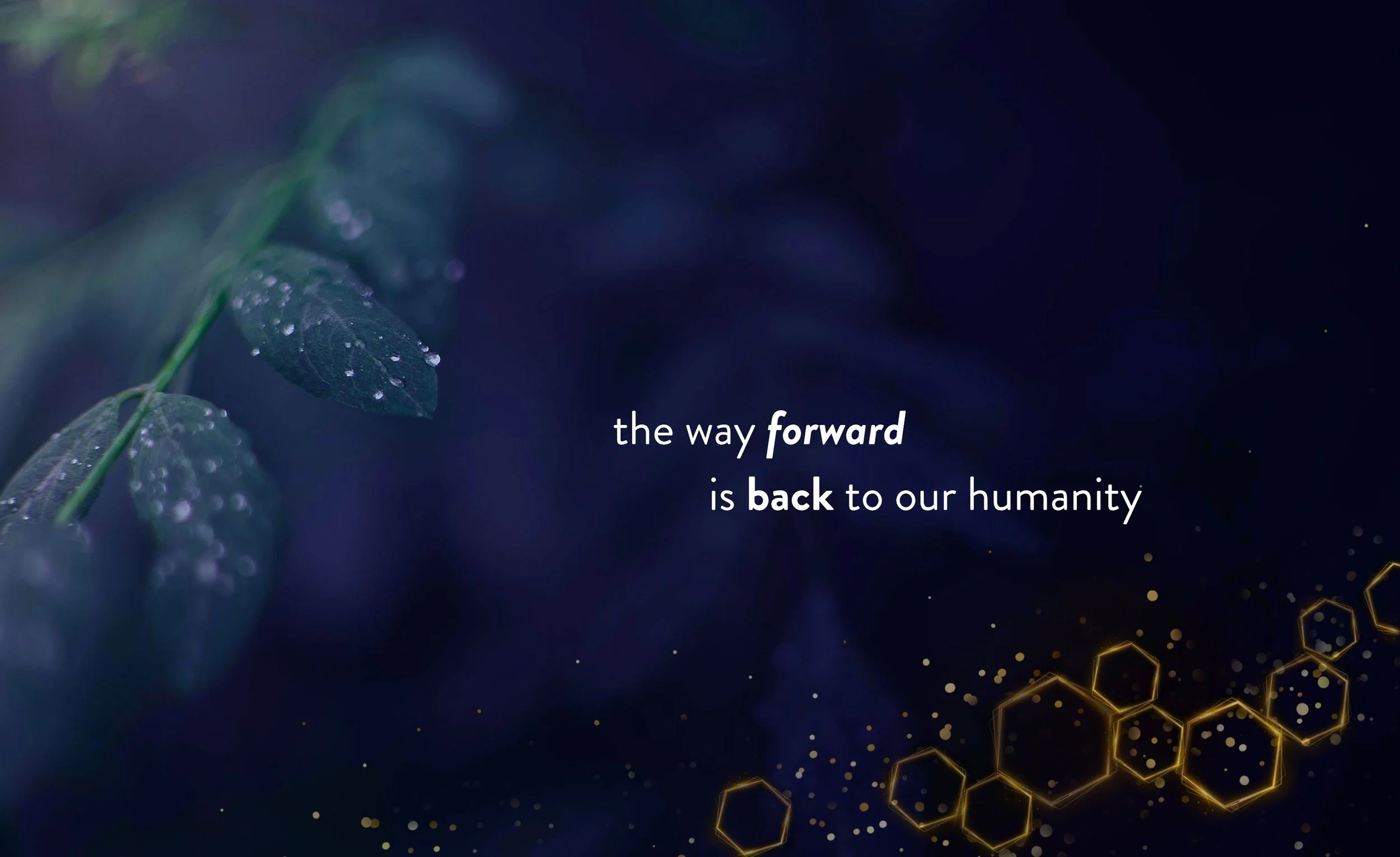 way-forward-humanity-banner-honeycomb.jpg
