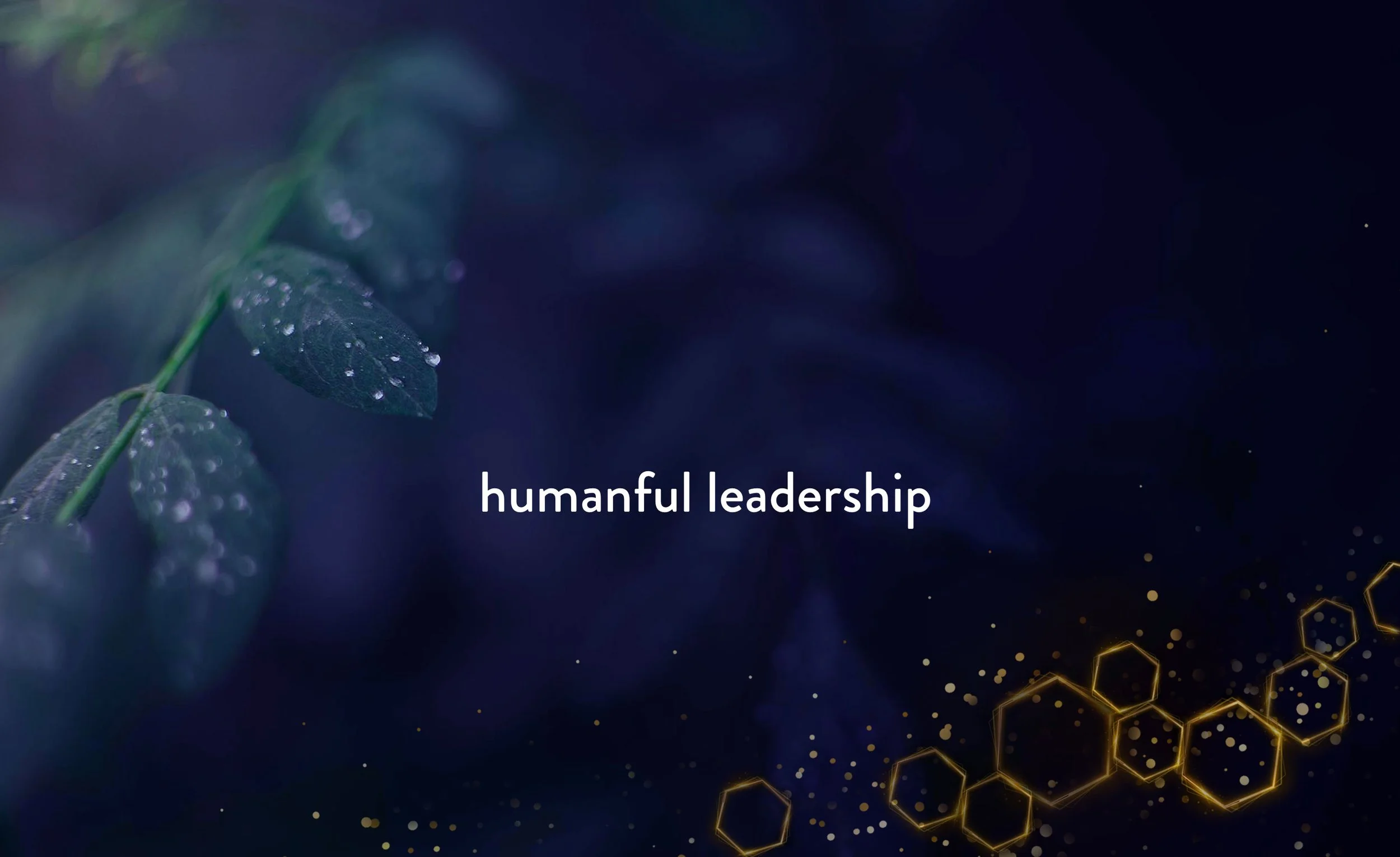 humanful-leadership-banner-honeycomb.jpg