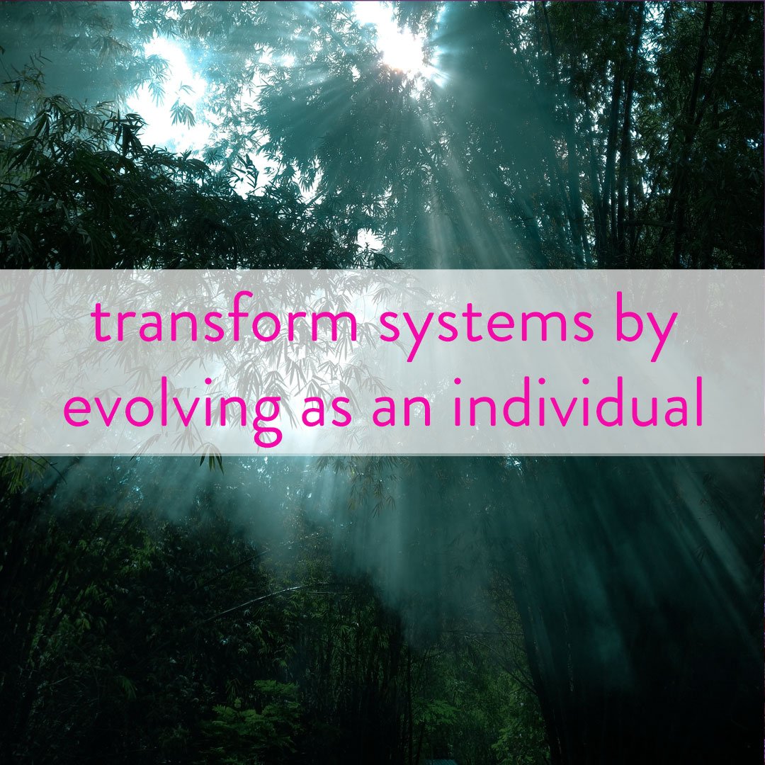 transform-systems-evolve-individual.jpg