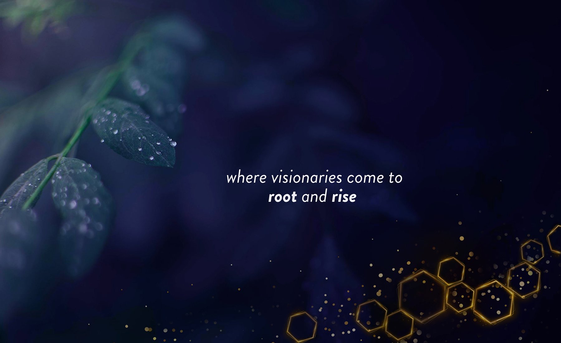 visionaries banner honeycomb.jpg