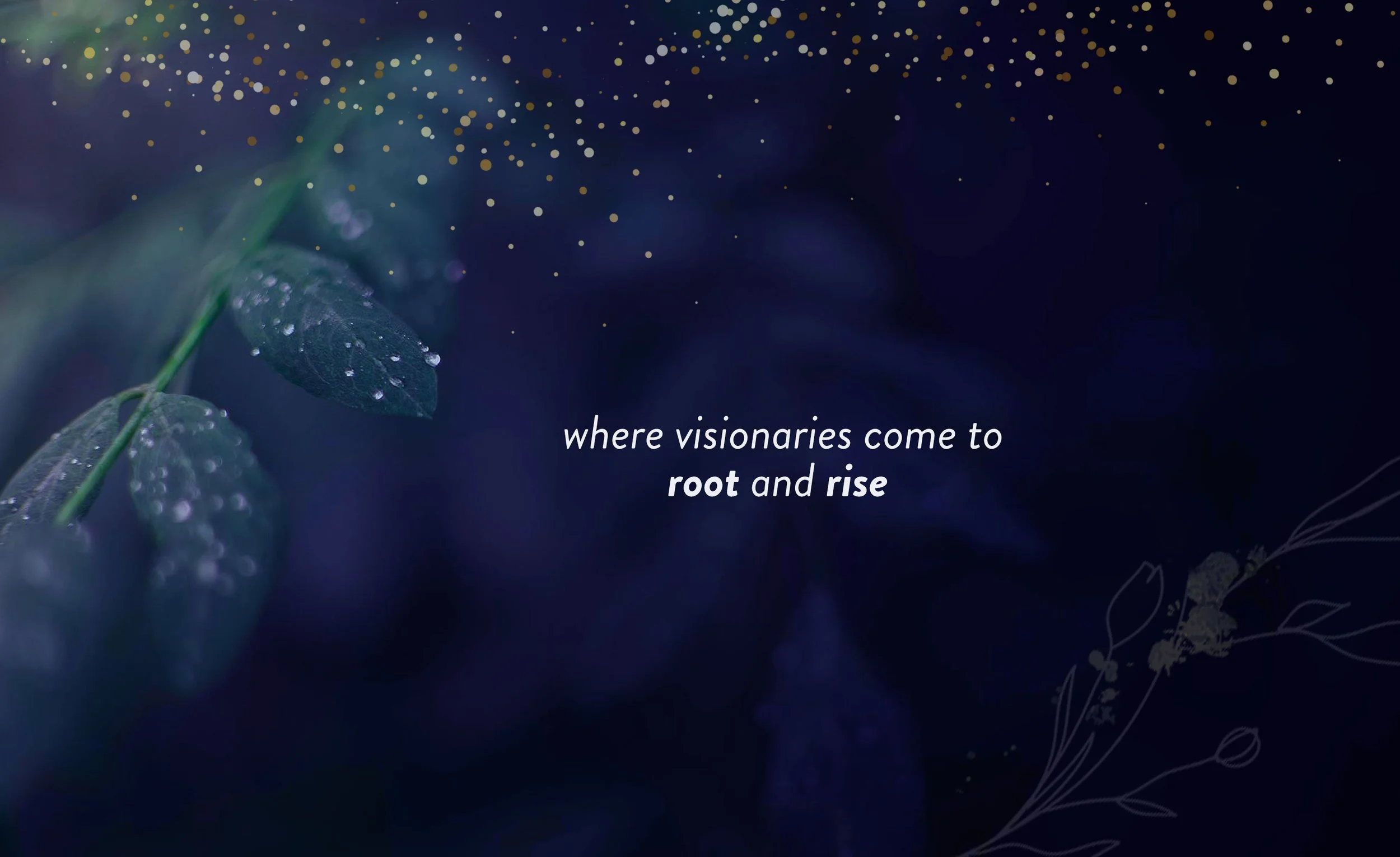 visionaries-banner2.2linedrawing.jpg