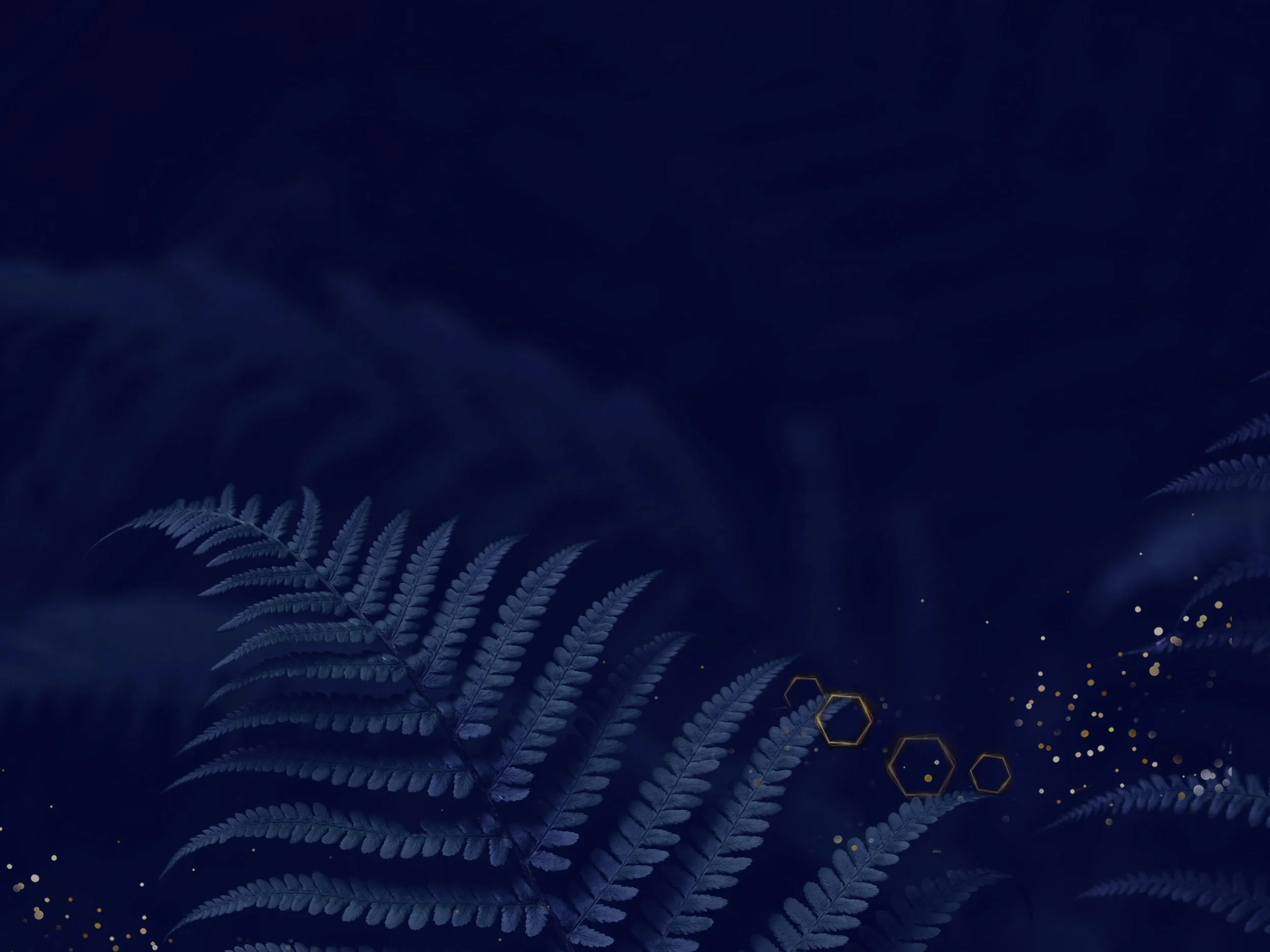 Work-with-me-blue-ferns.jpg