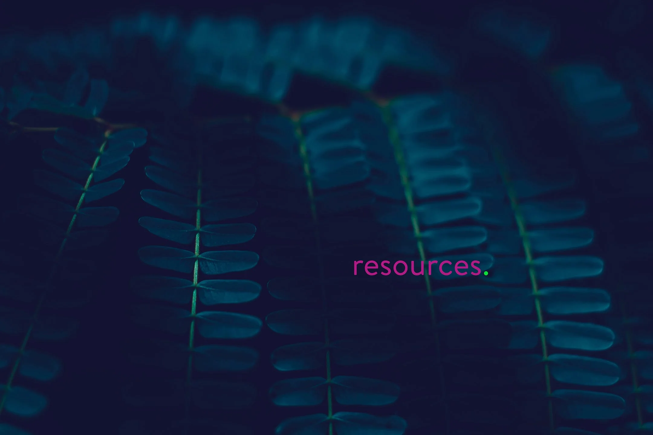 resources-page-banner 9-25.jpg