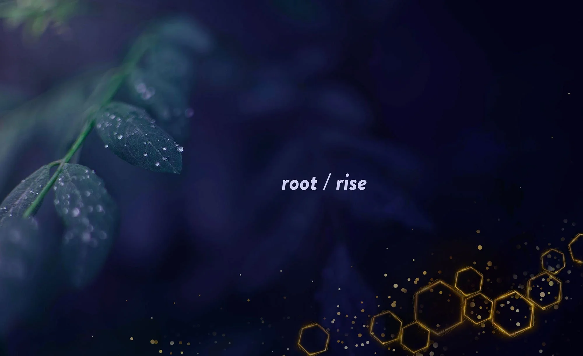 visionaries-banner-honeycomb-root-rise.jpg