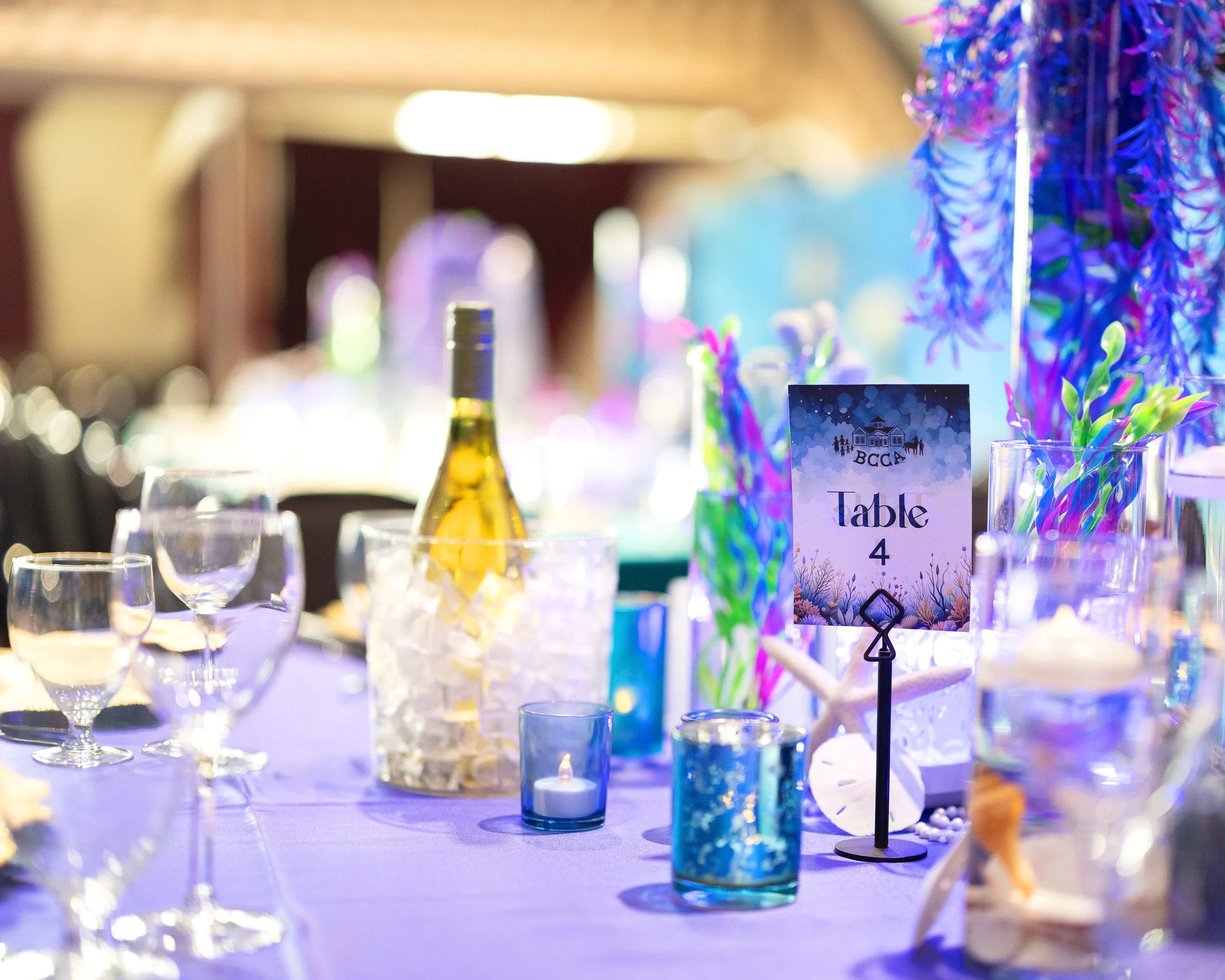 UndertheSeawithBCCA_DecorandAuctionItems_0319.jpg