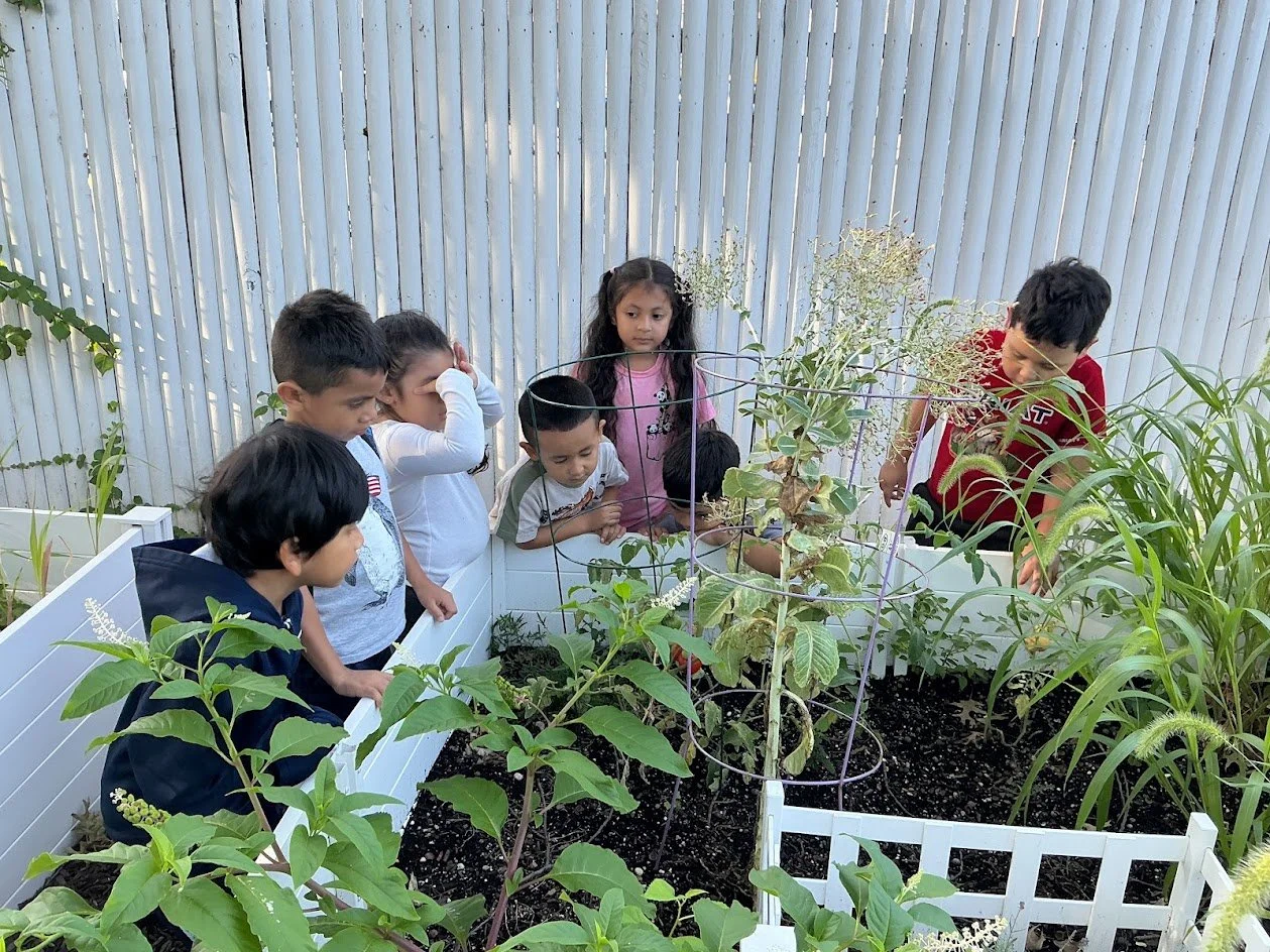 kids garden 2.jpg