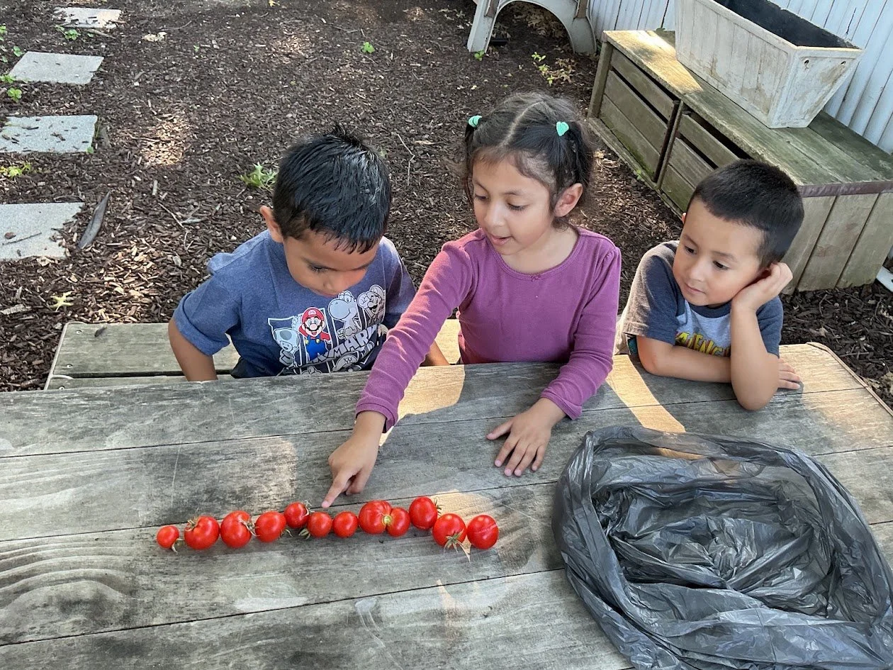 kylie tomatoes 2.jpg