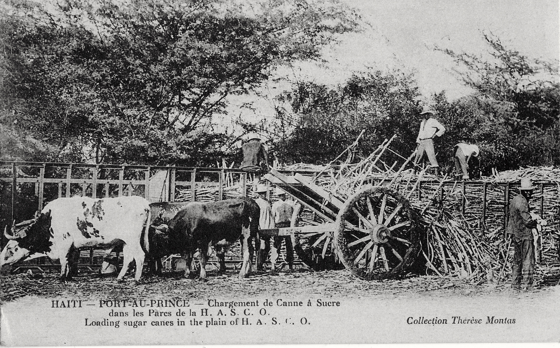 Island History