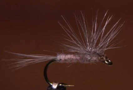 425_Hendrickson_Hackle_Stacker.jpg