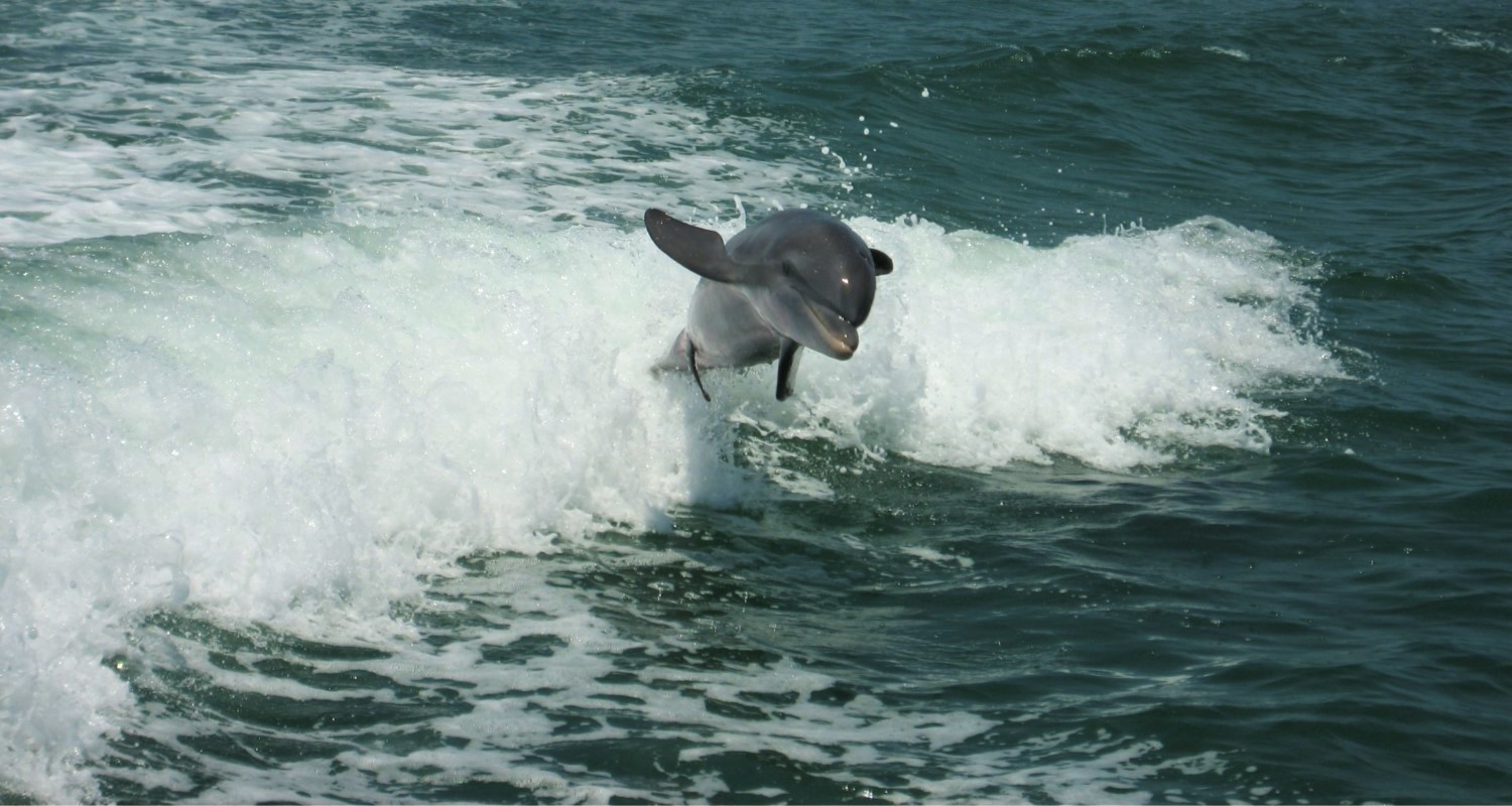 Banner-12.jpg
