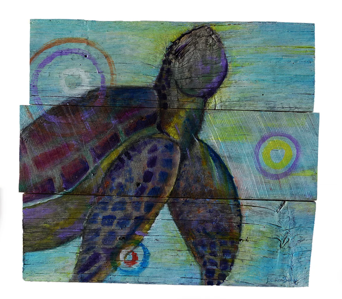 Sea Turtle