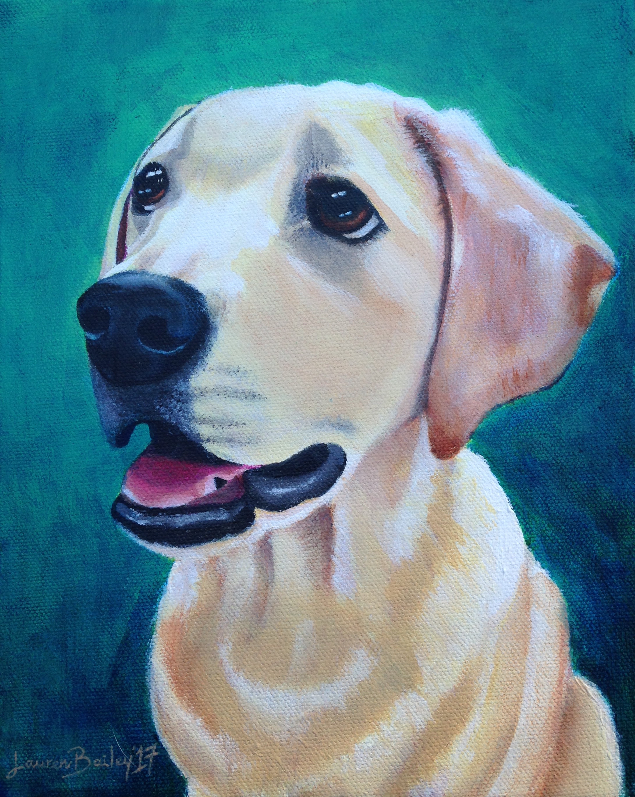 Young Yellow Lab