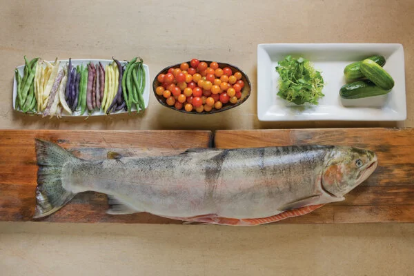 Grilled Salmon with Three Bean Salad, Cherry Tomatoes, Cucumbers and Watercress