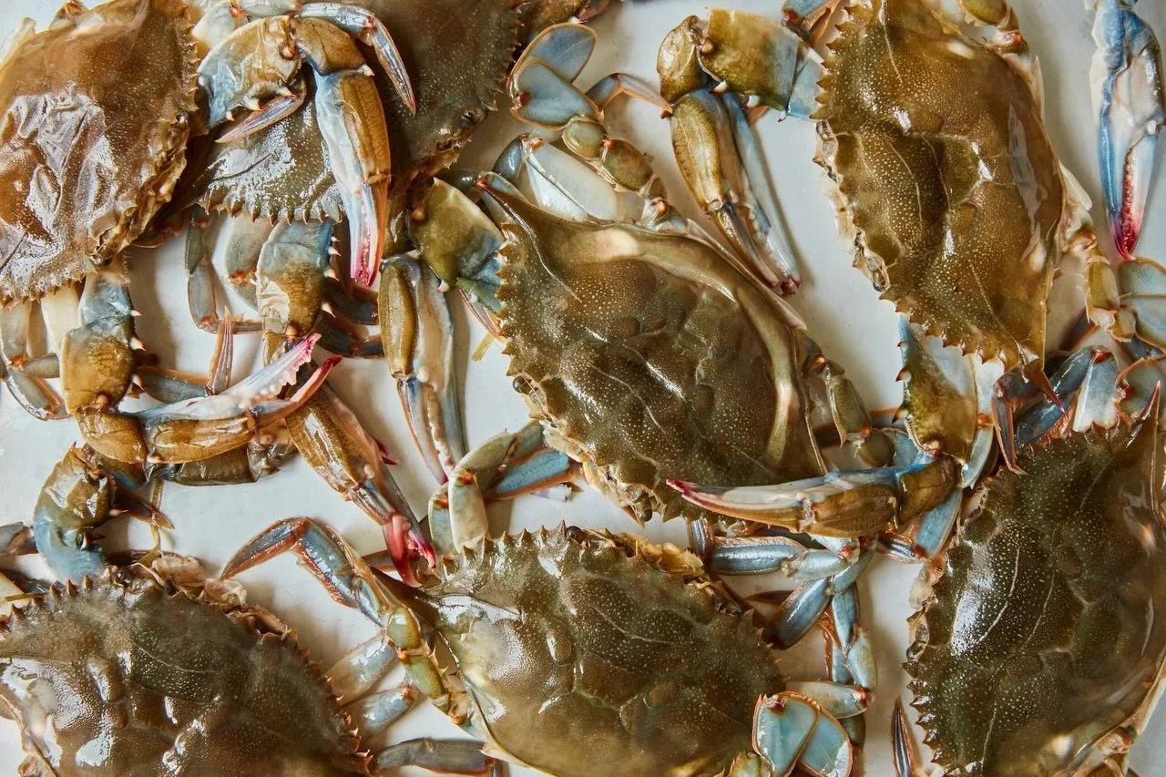 Soft shells are back&mdash;and right on time.

For a short window each spring, the soft-shell crab shows up in its most delicate, fleeting form. Crisp on the outside, tender and briny all the way through&mdash;no shells, no barriers, just pure flavor