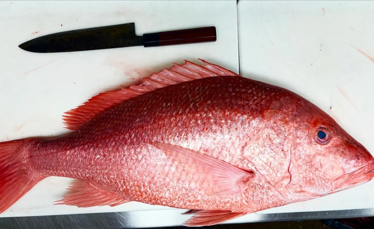 Gulf Red Snapper, in its purest form.

Caught fresh and brought straight to the board&mdash;clean, vibrant, and ready for the fire. This is where it all starts at Hot and Hot Fish Club. Respect the product, keep it simple, let nature speak for itself