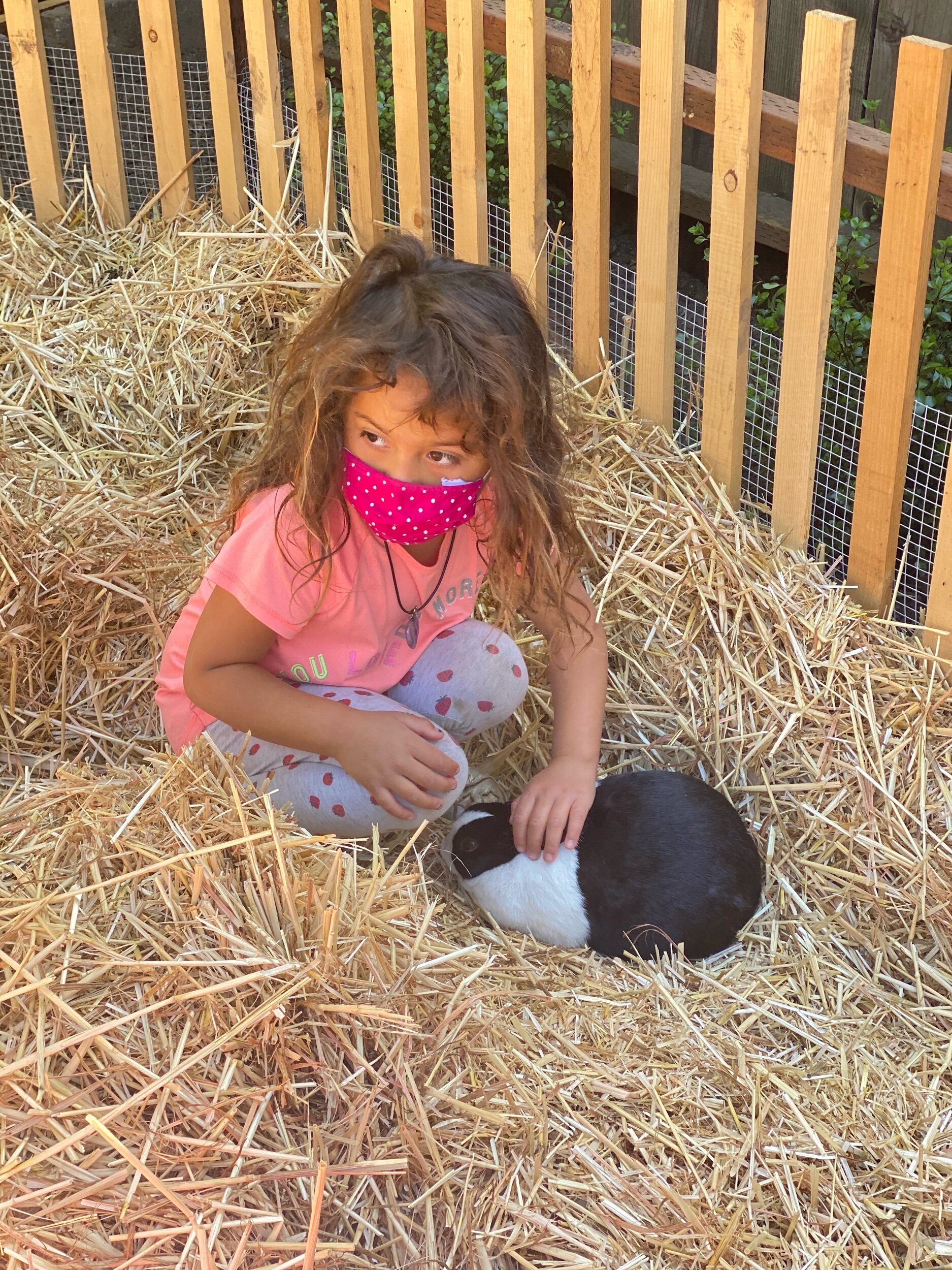 In the straw with the bunnies