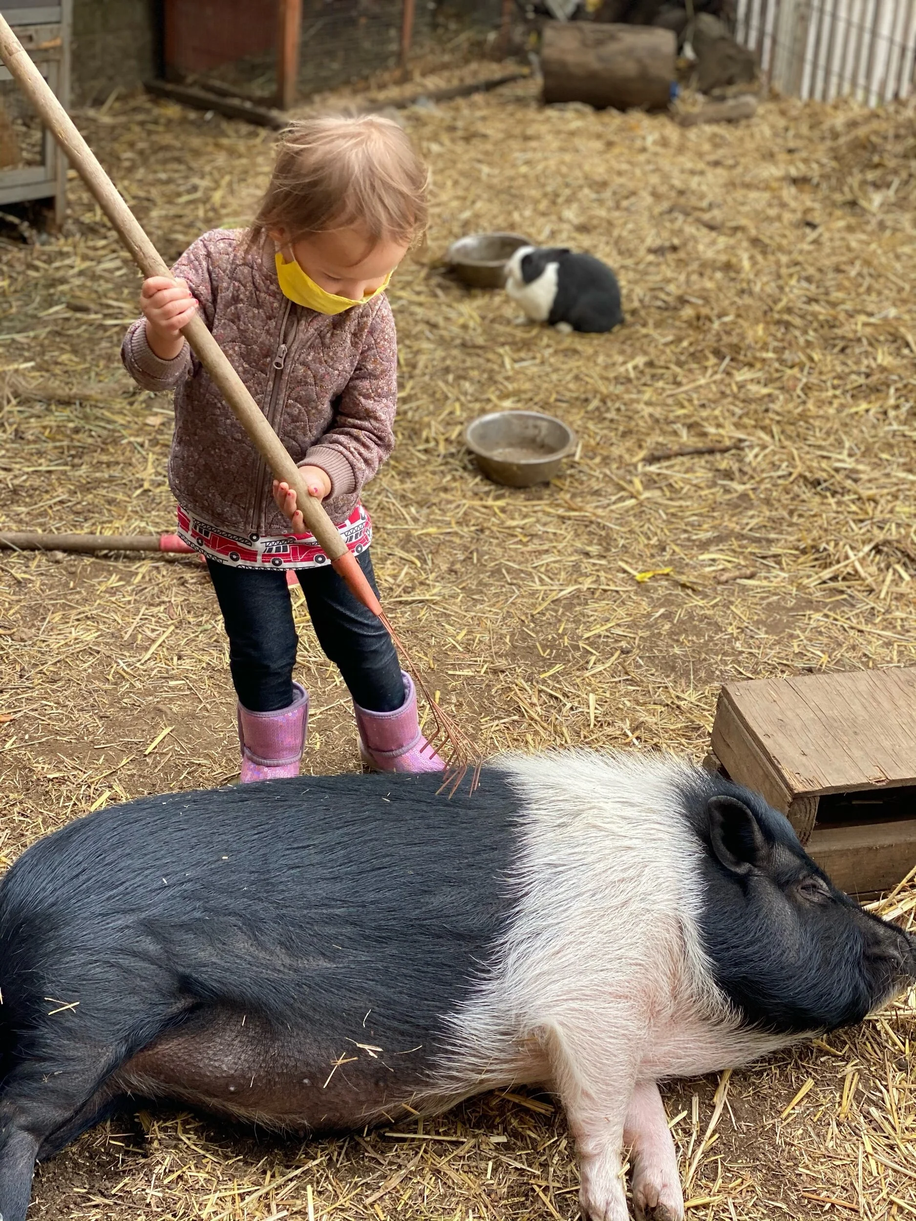 Bikini loves a good rake