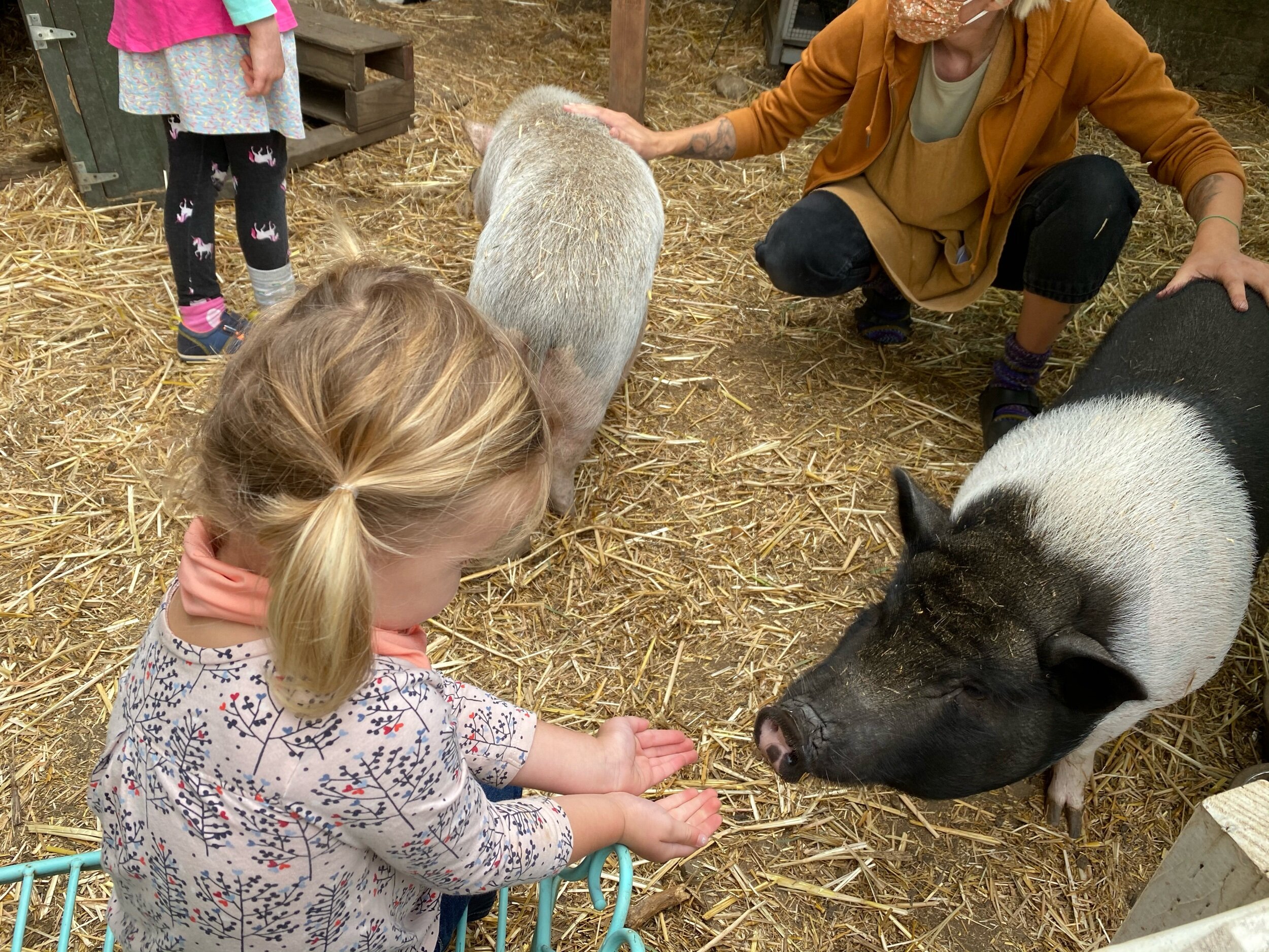 Getting to know new friends