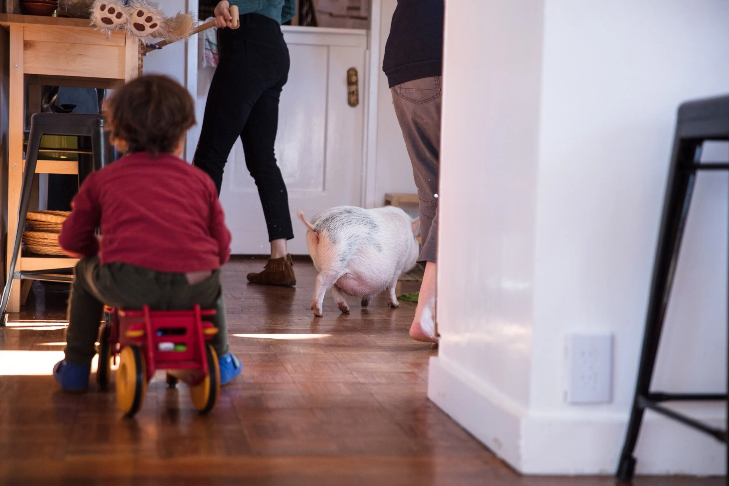 When I was little I was allowed to visit the house sometimes 