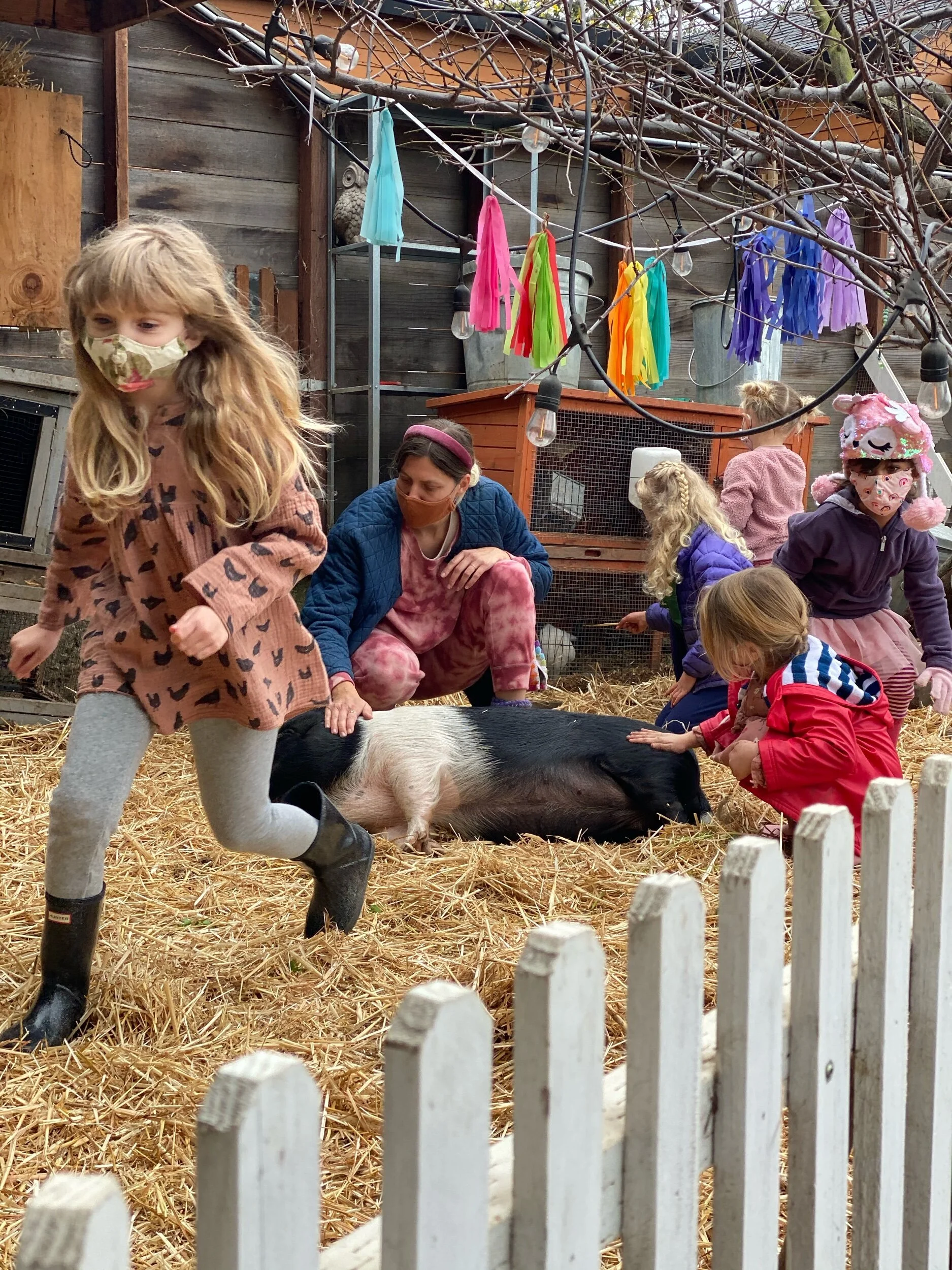 Geschichten aus dem Schweinestall