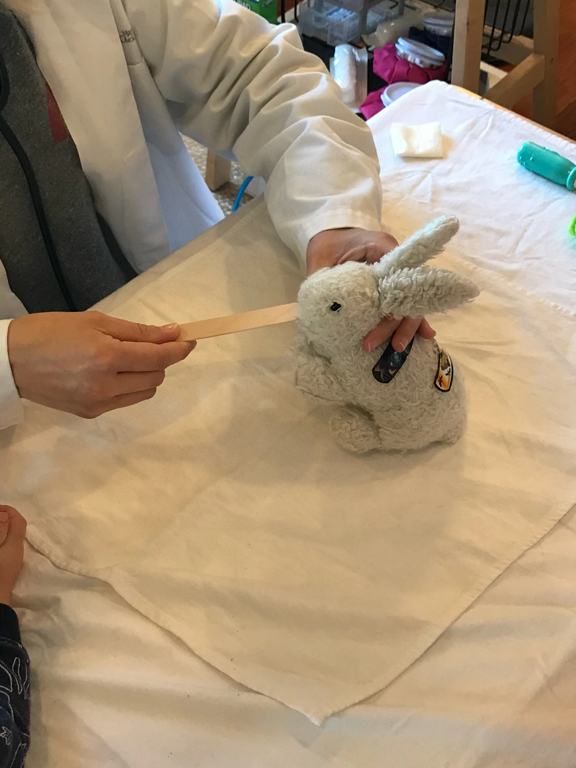 This bunny is getting a check up